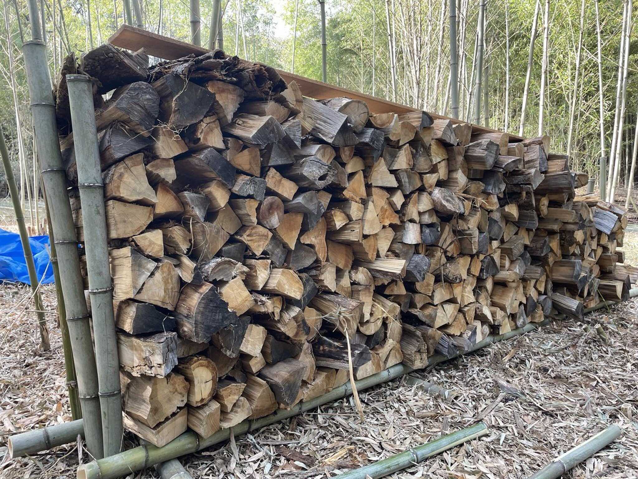 Forest Lifeの写真 5枚目