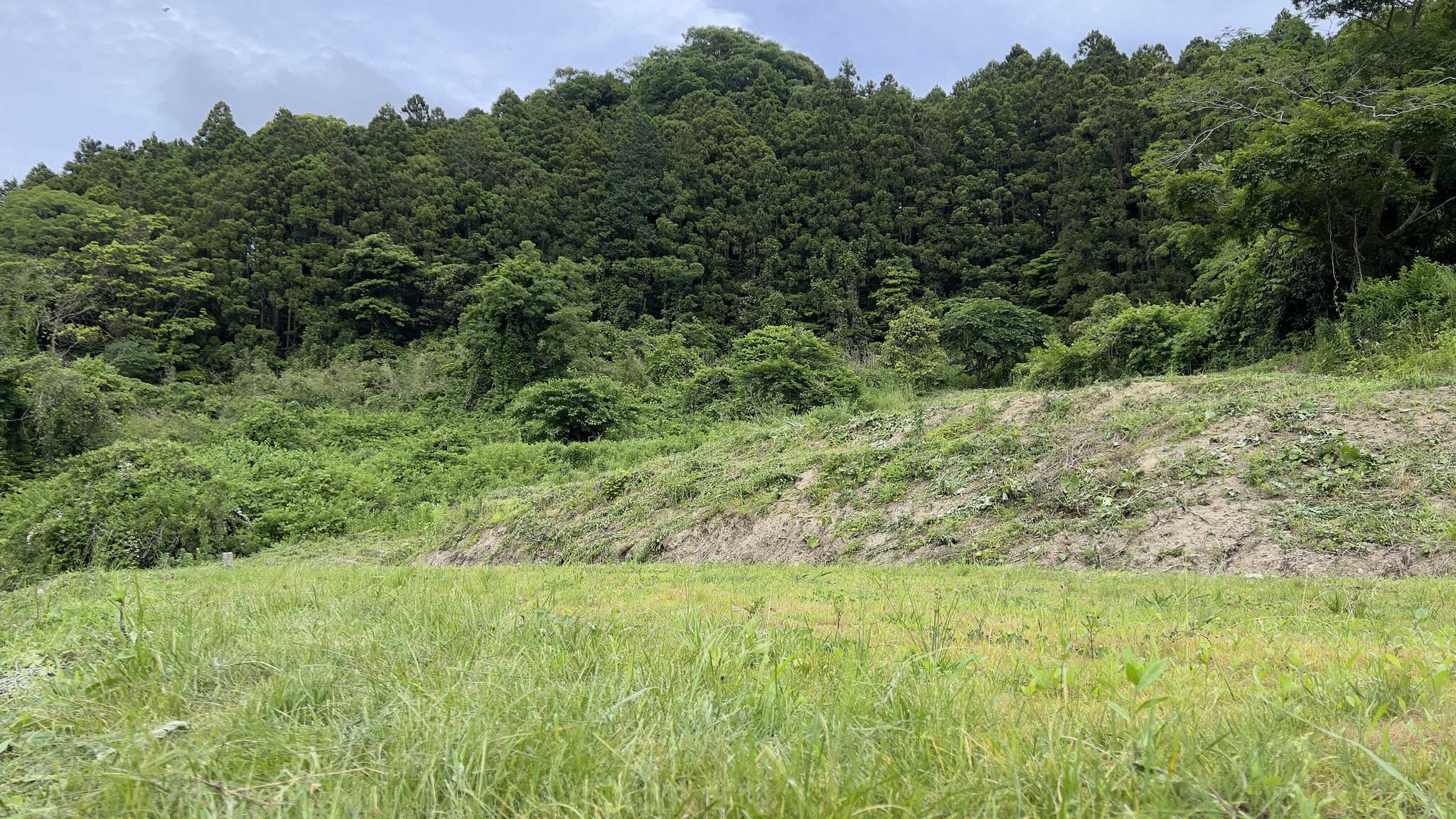 南総学舎野営地(旧:南総学舎キャンプ場)