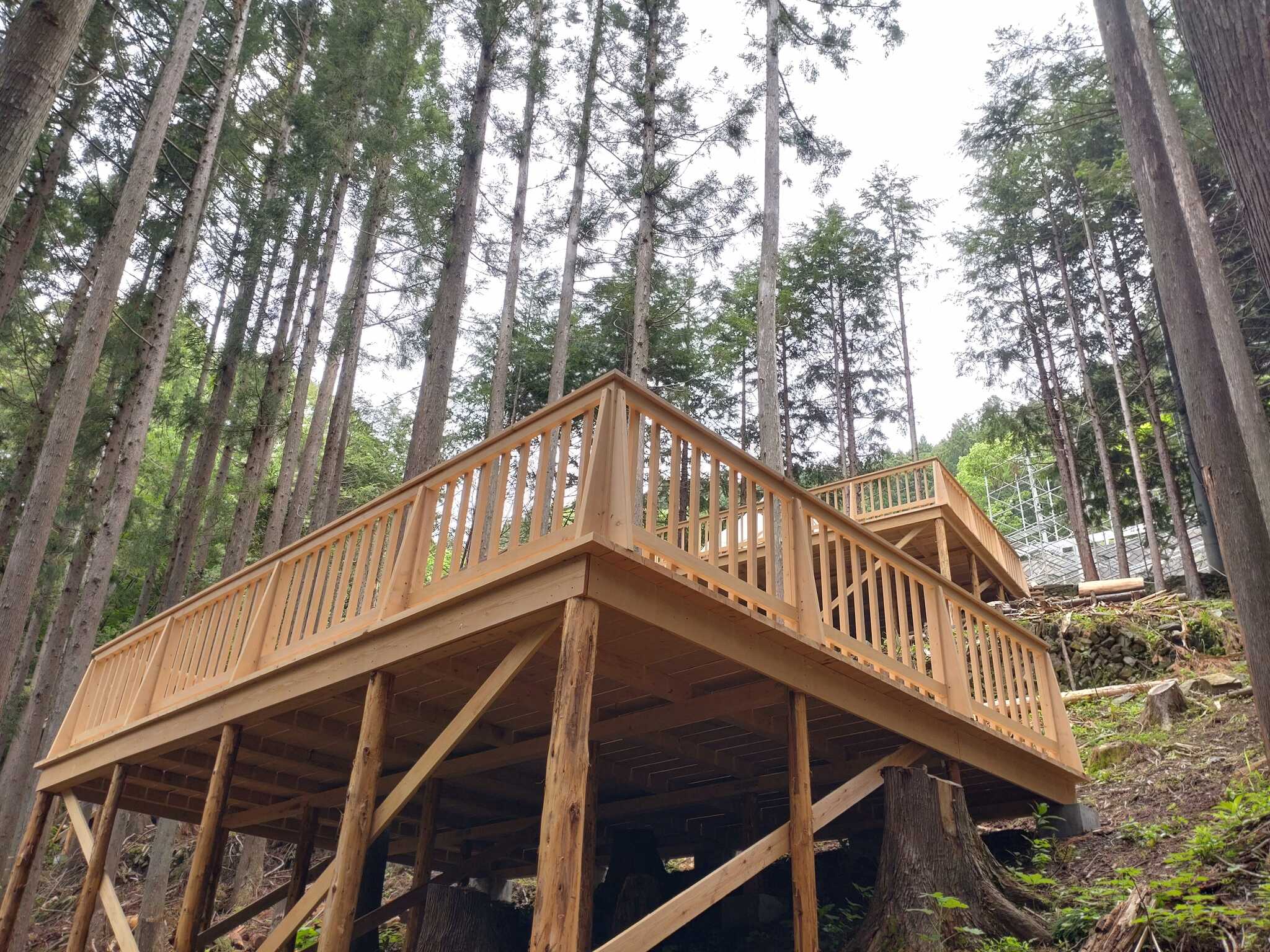 栃本キャンプ場 森と空