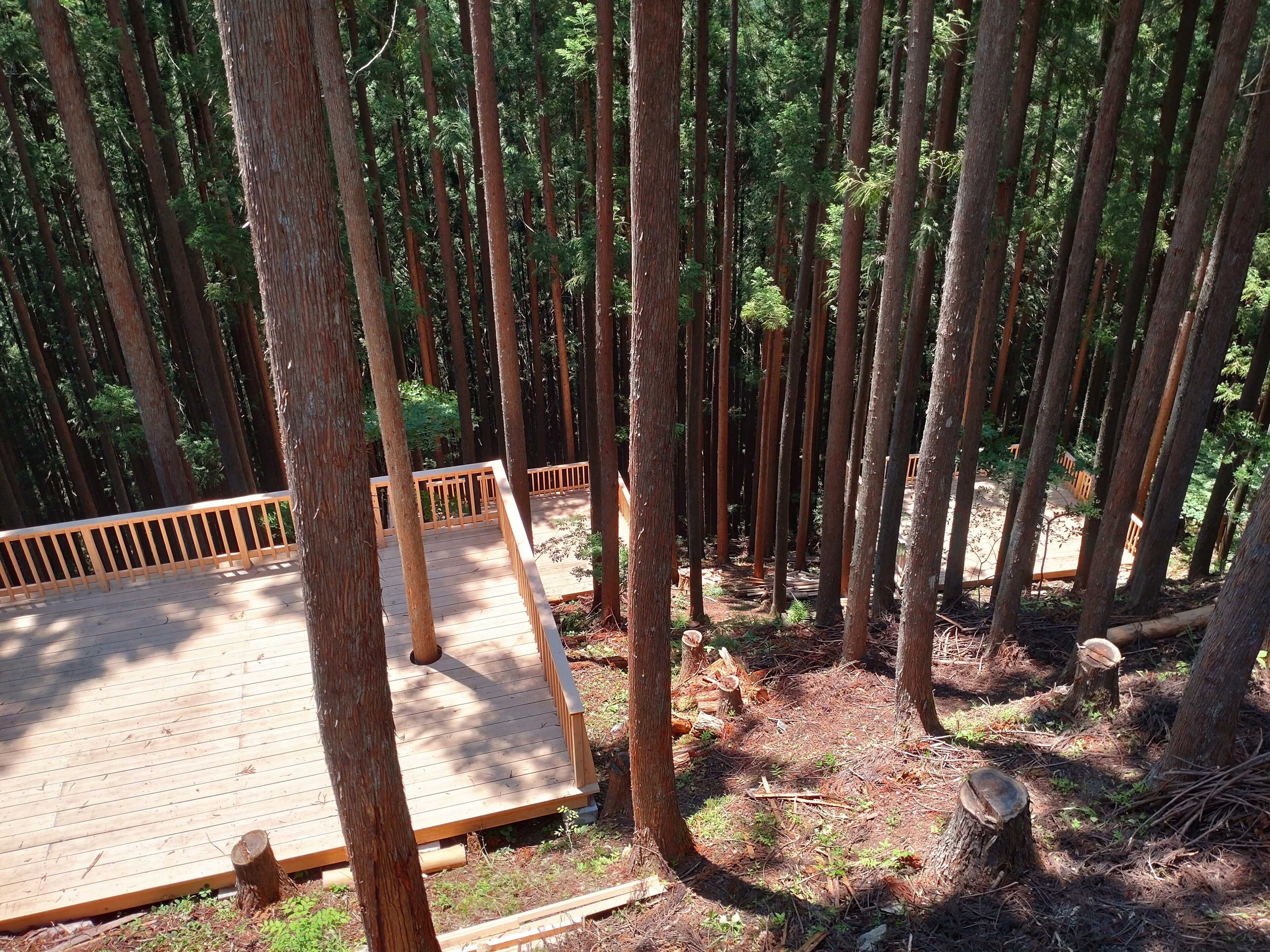 栃本キャンプ場 森と空の写真 2枚目