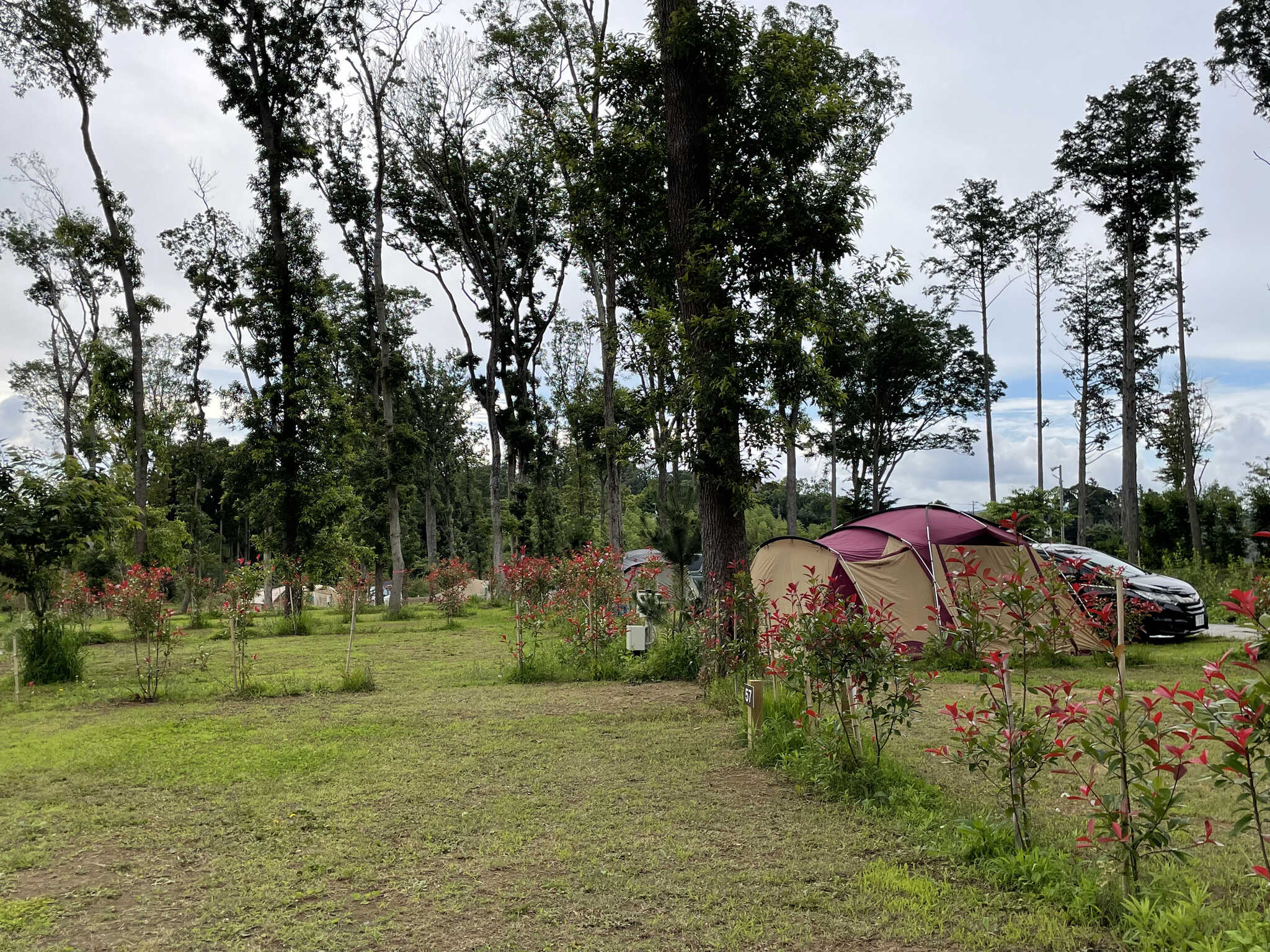 CAMPさくらの丘