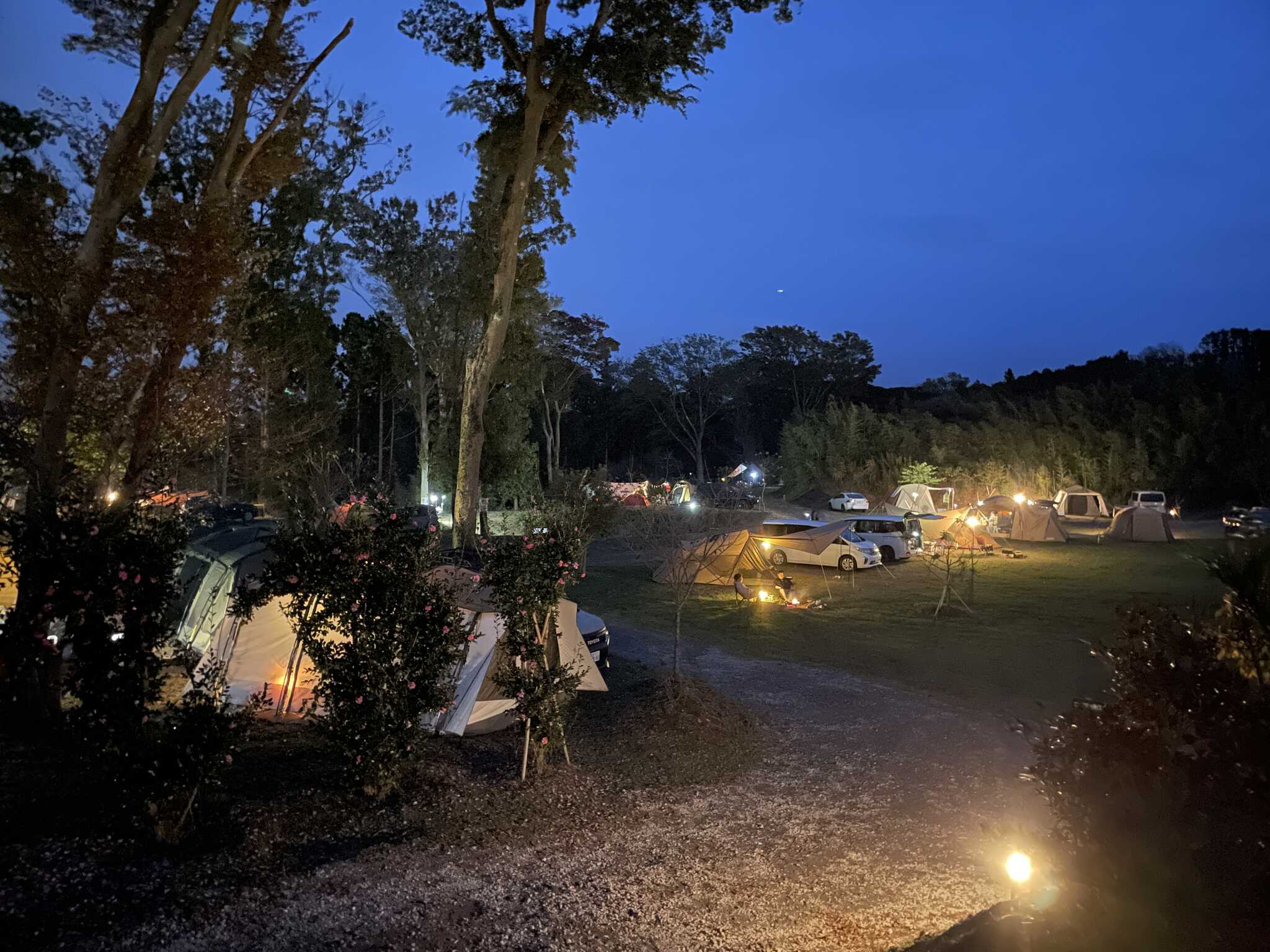 CAMPさくらの丘