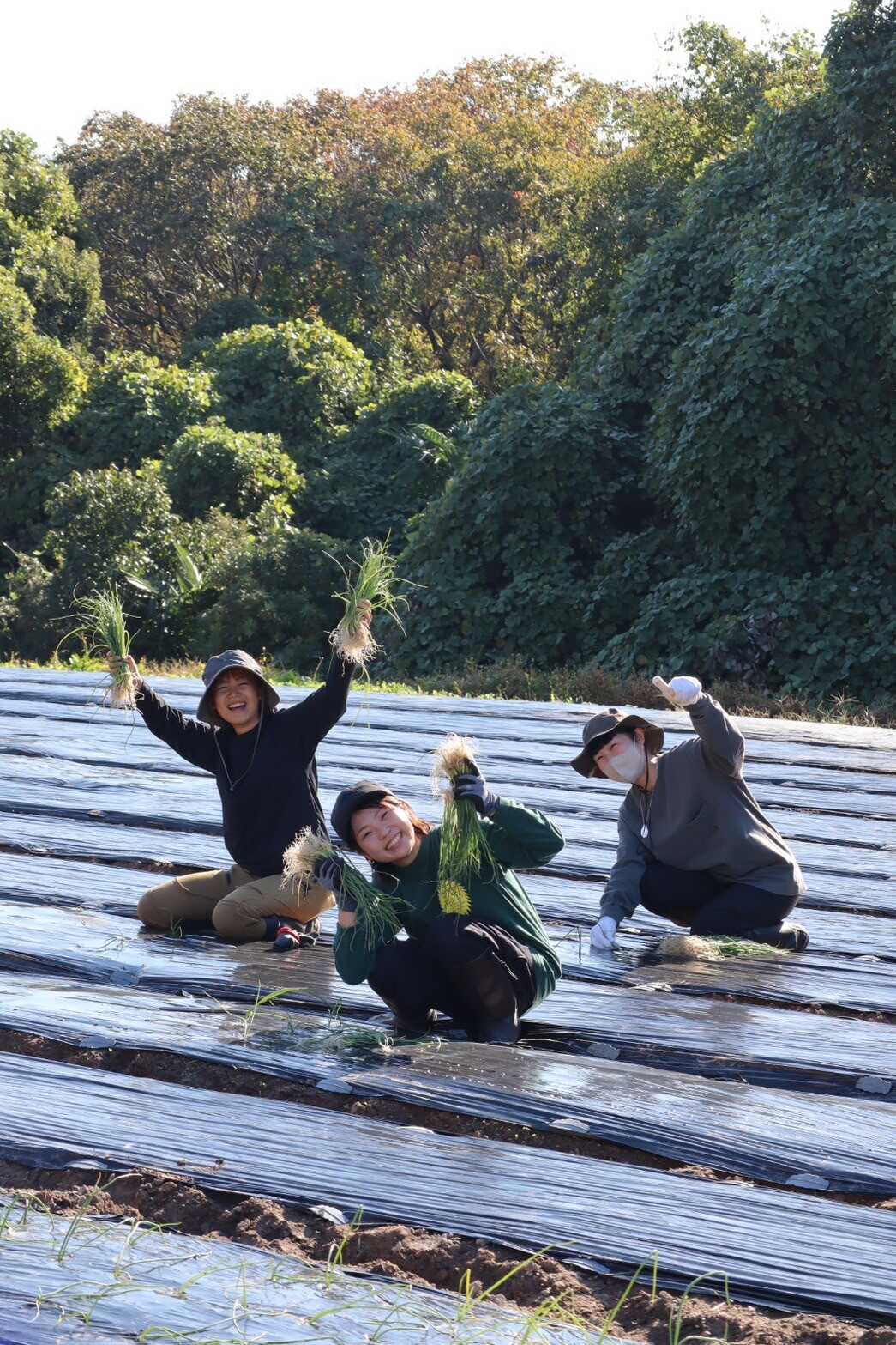 スタッフ