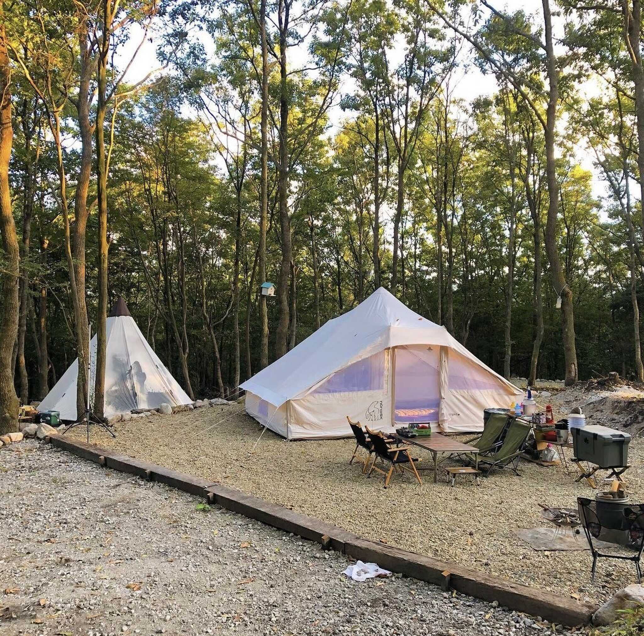 camp×woods