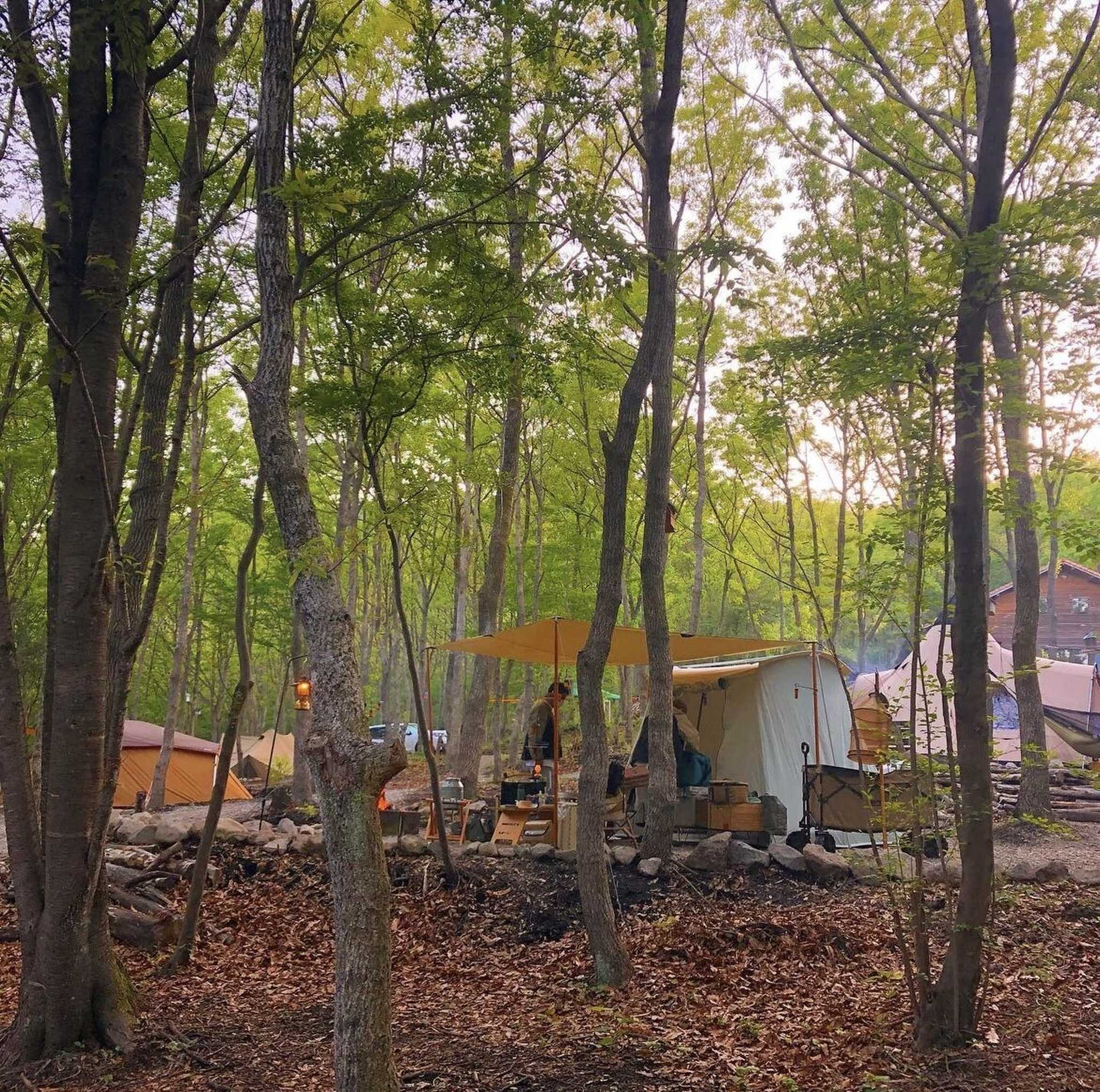 camp×woods