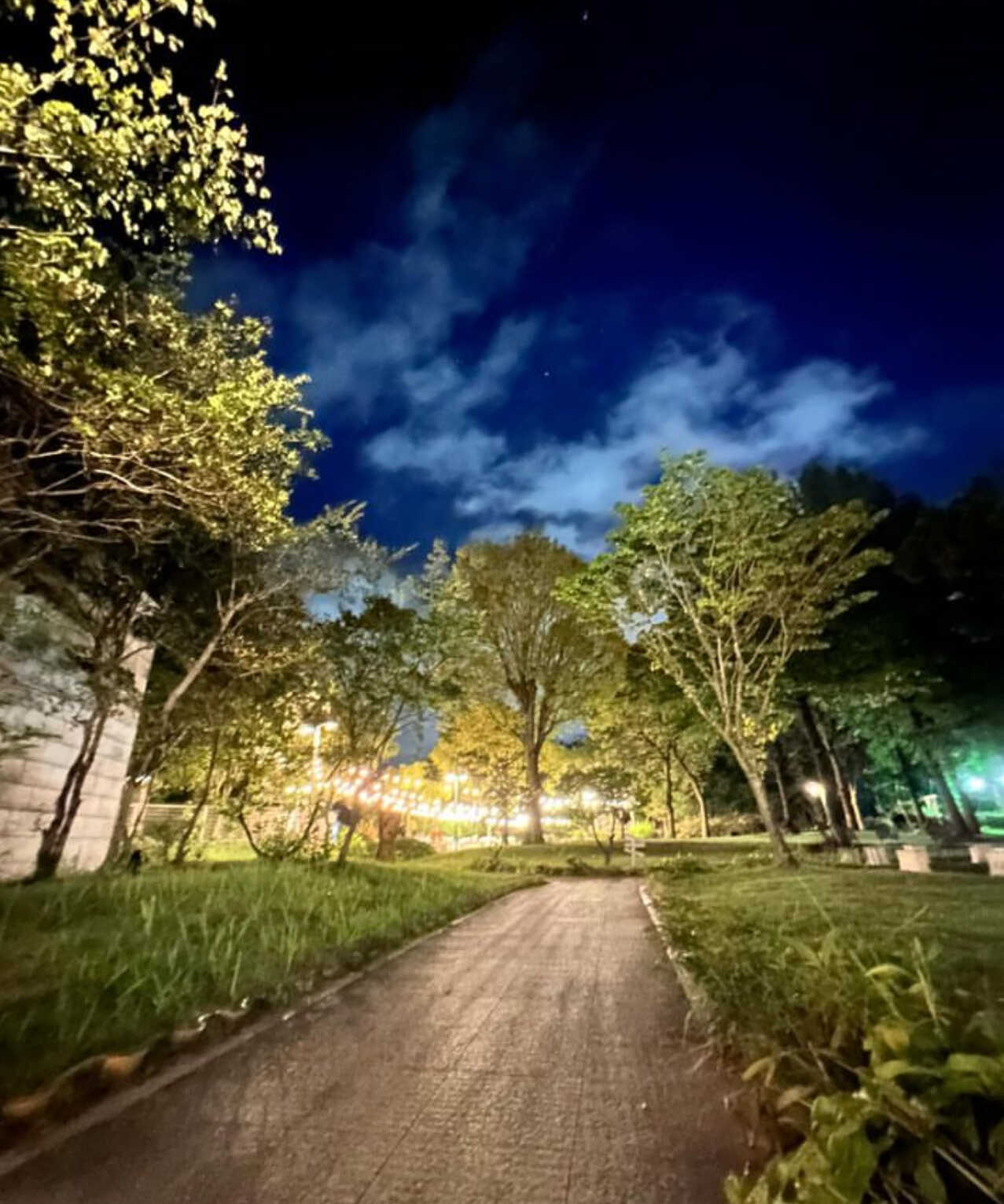 AOYAMA BBQ FIELD