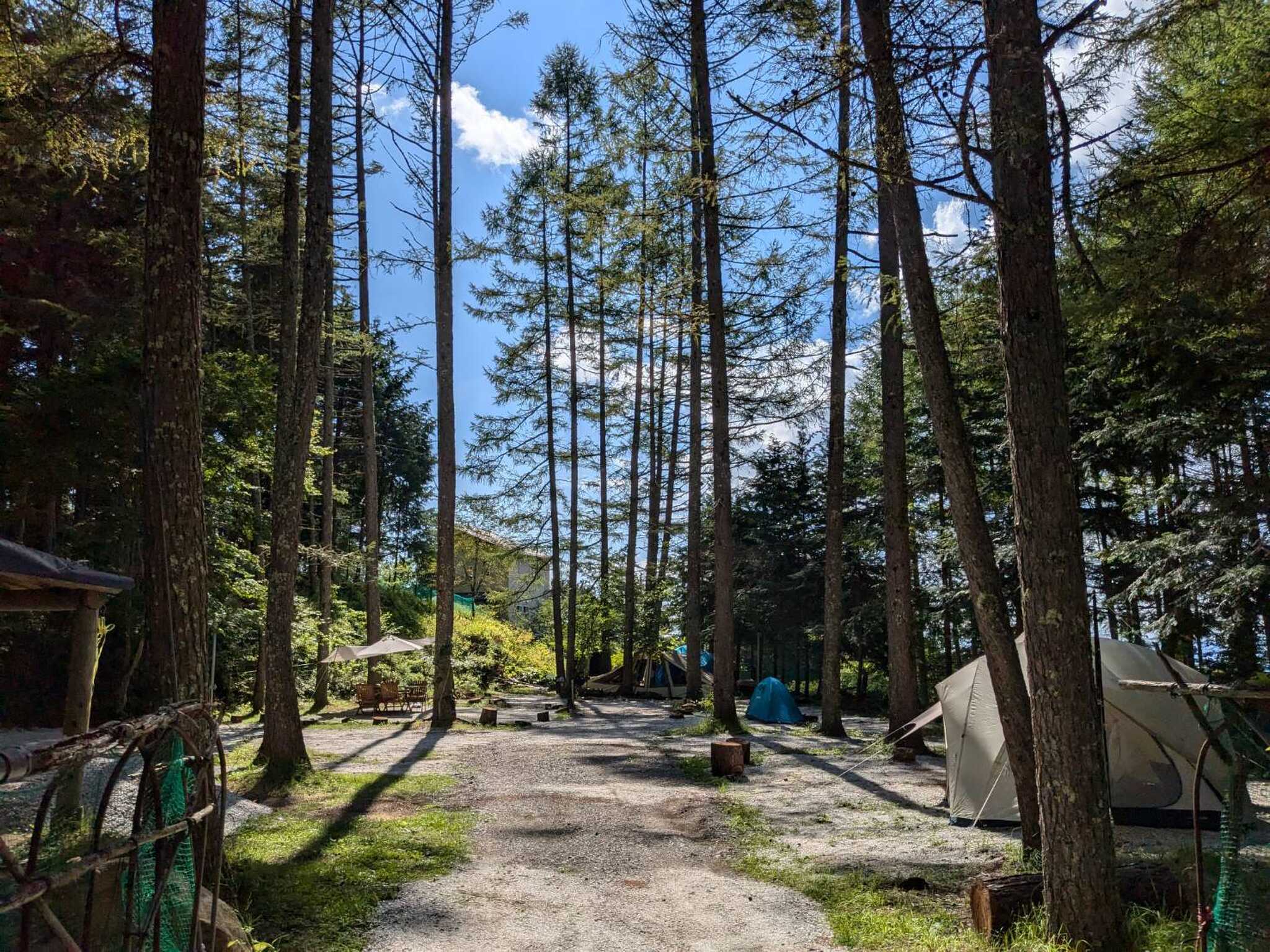 Larch Forest Villageの写真 1枚目