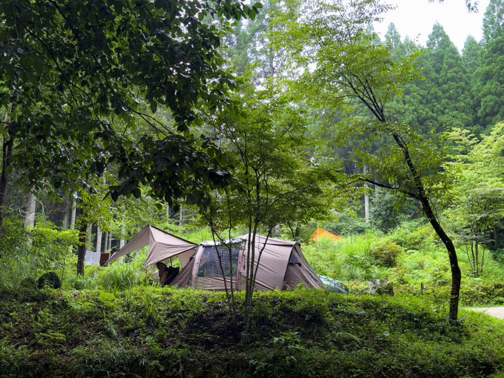 松の木 野あそび村
