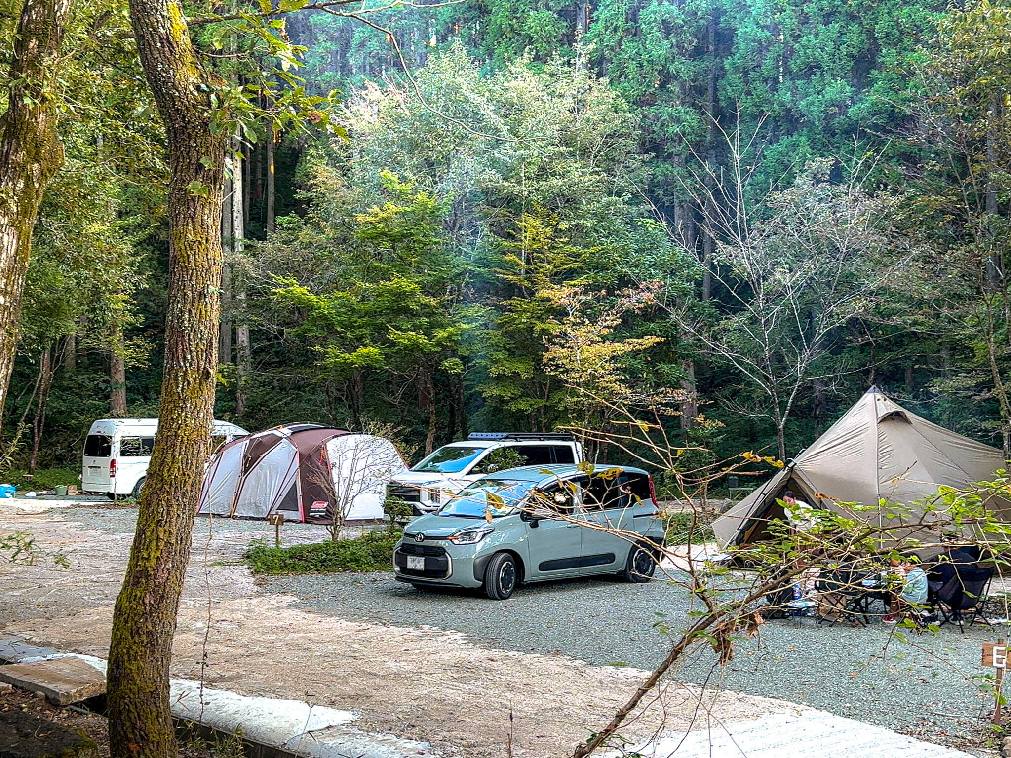松の木 野あそび村の写真 2枚目
