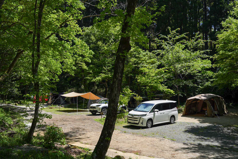 松の木 野あそび村