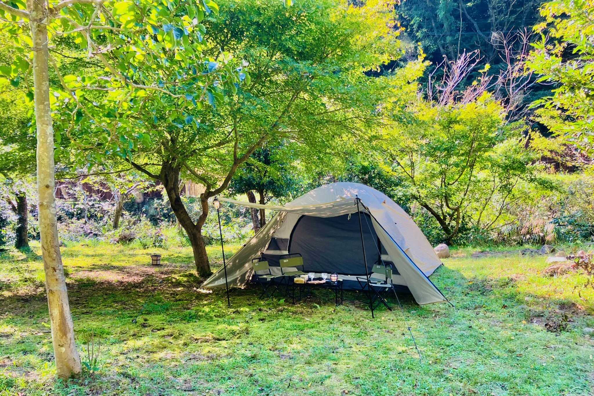 【閉鎖】soto161BBQ+CAMP