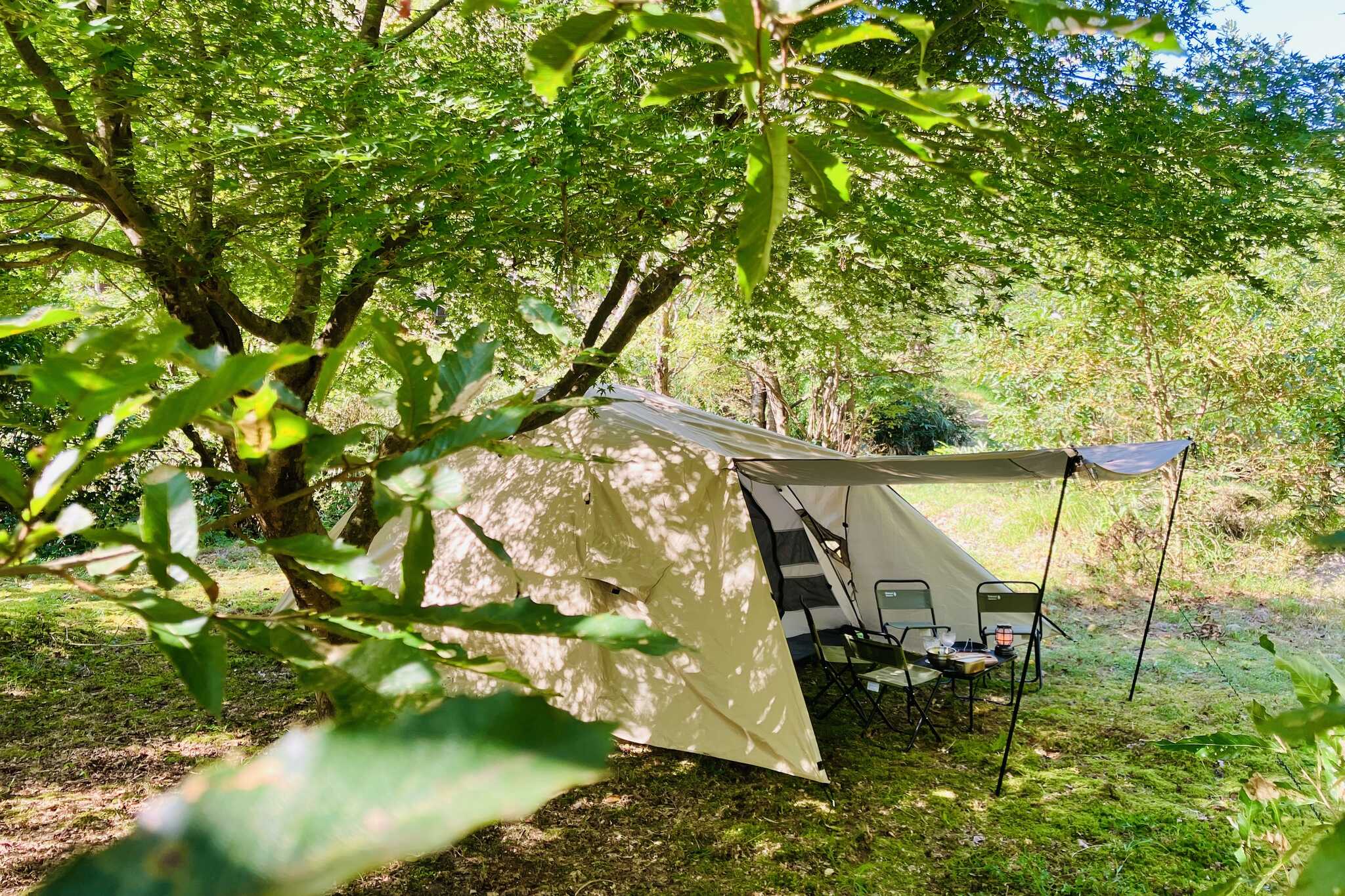 【閉鎖】soto161BBQ+CAMP