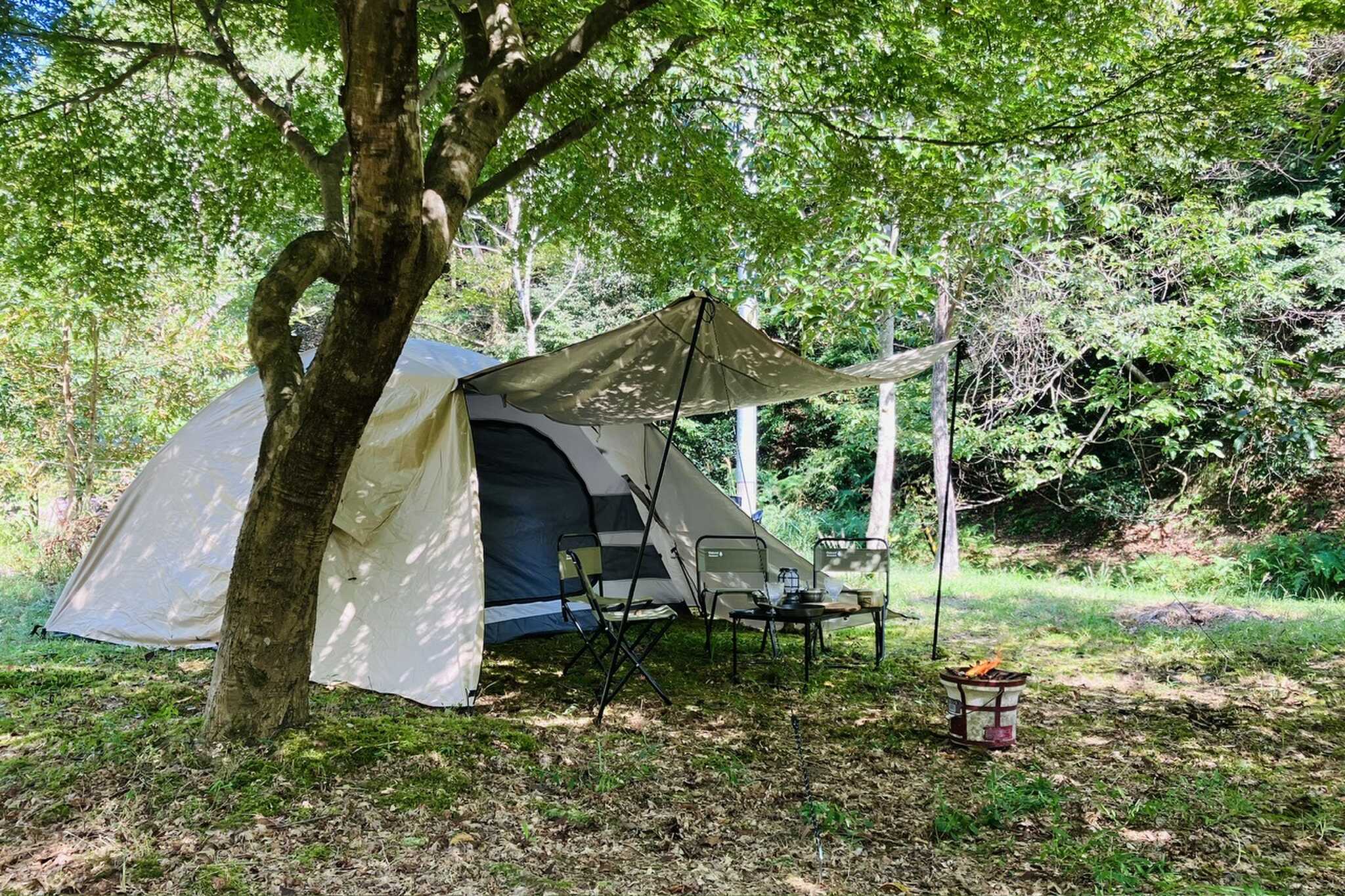 【閉鎖】soto161BBQ+CAMP
