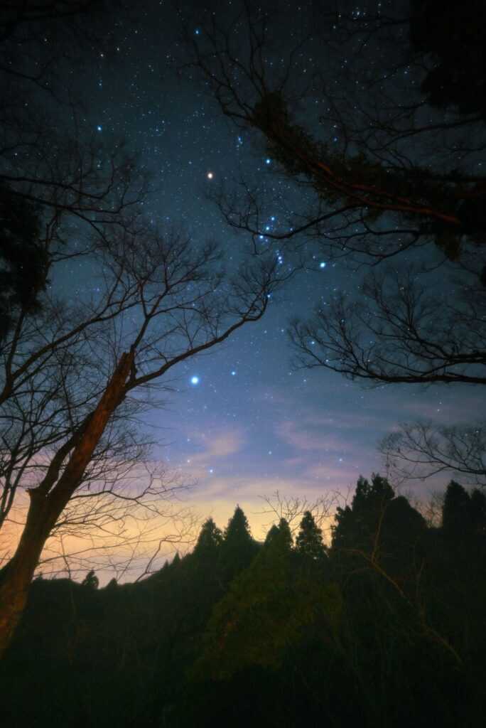 たき火研究所の写真 3枚目