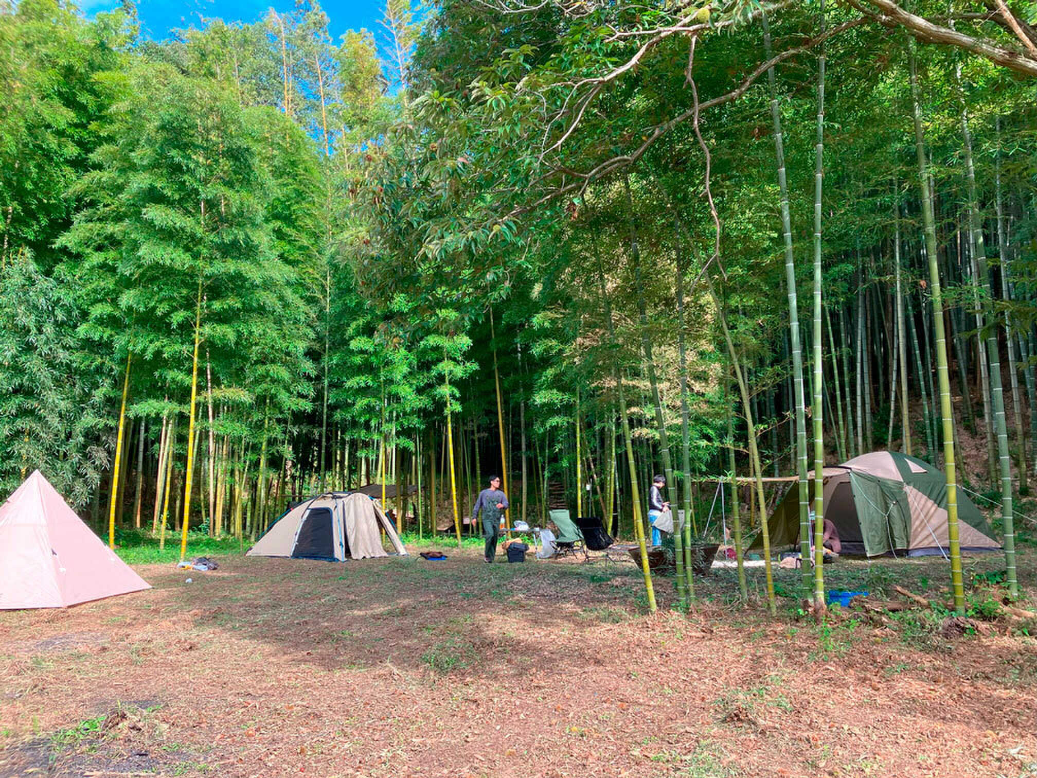 龍ケ崎やまびこ自然園キャンプ場