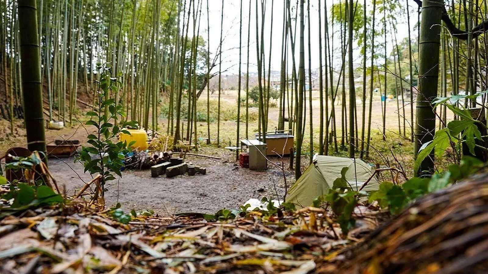 龍ケ崎やまびこ自然園キャンプ場