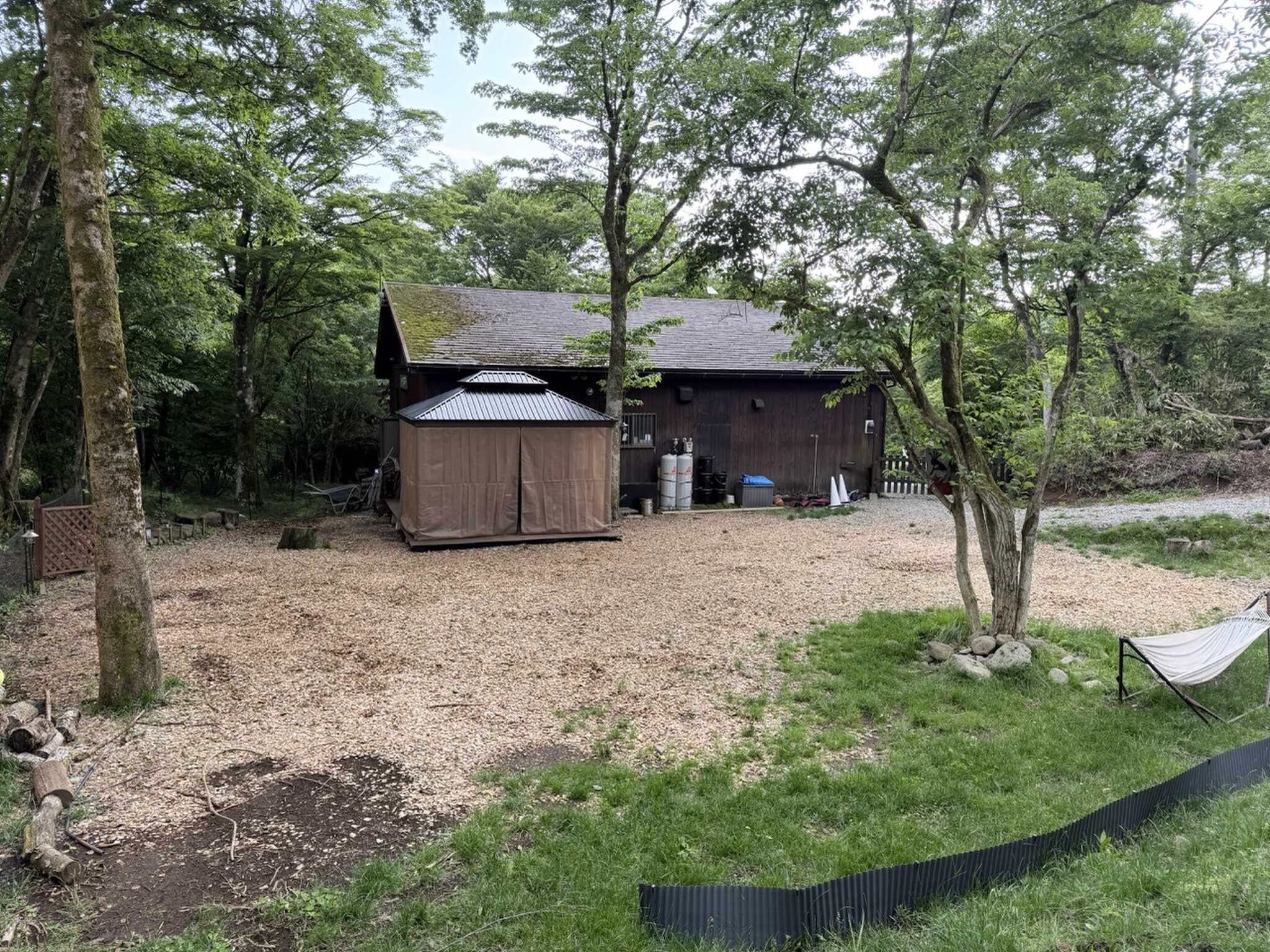十里木フジドッグの写真 1枚目