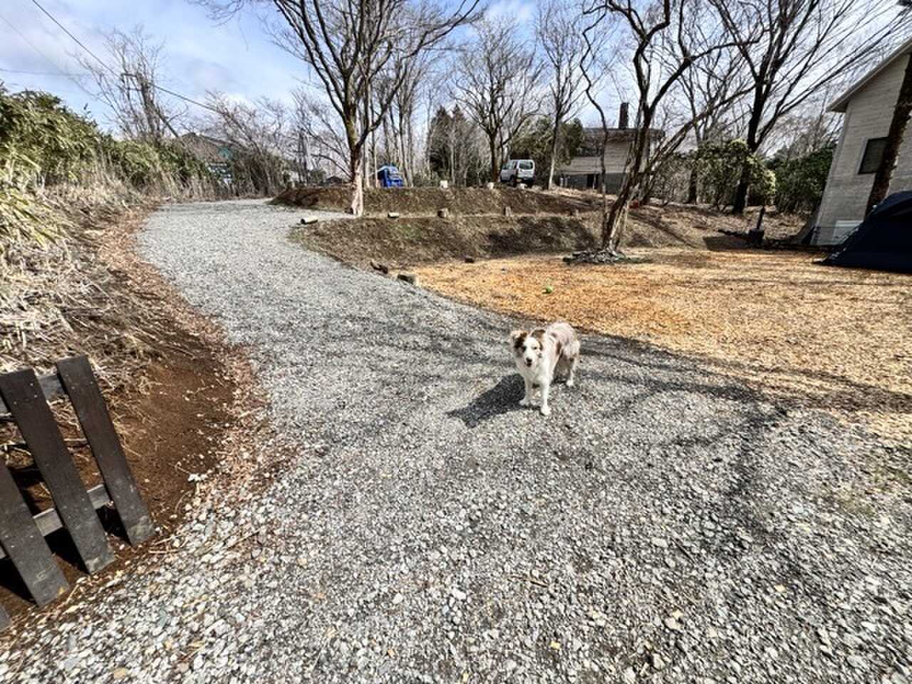 十里木フジドッグの写真 2枚目