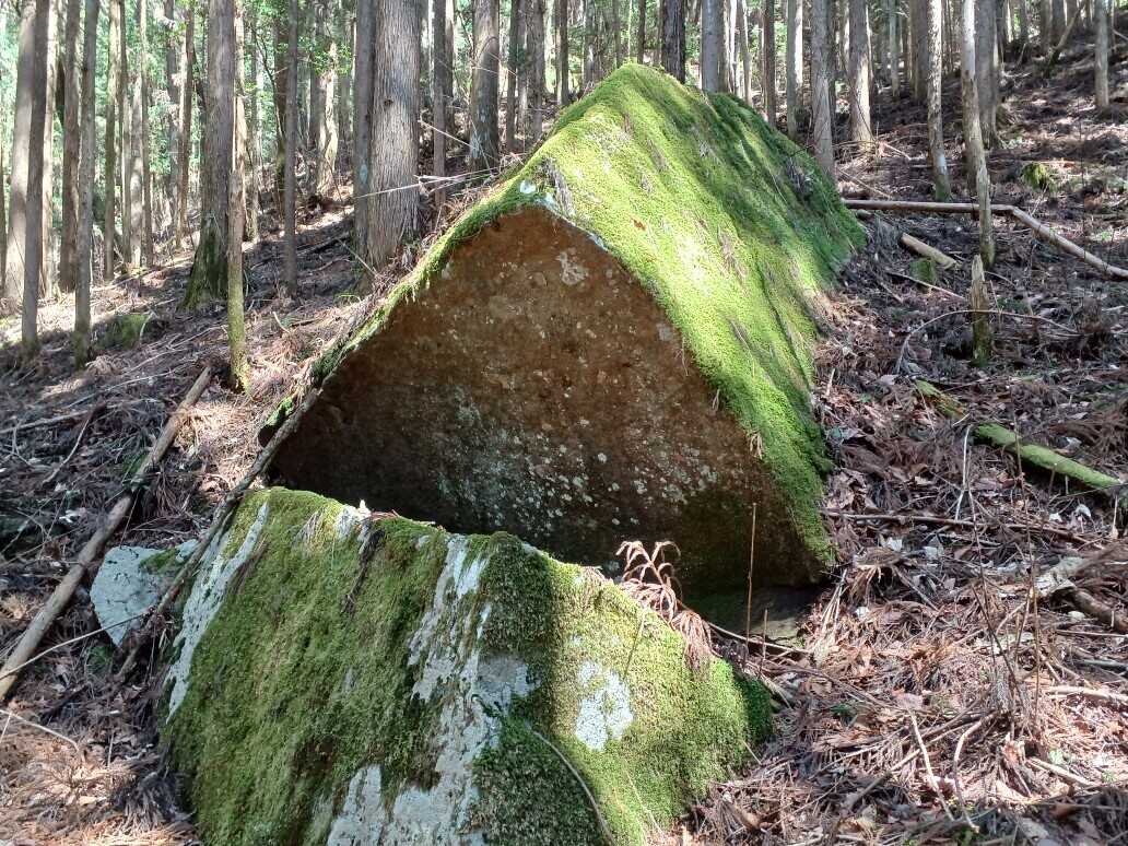 茶臼山山荘キャンプフィールドの写真 5枚目