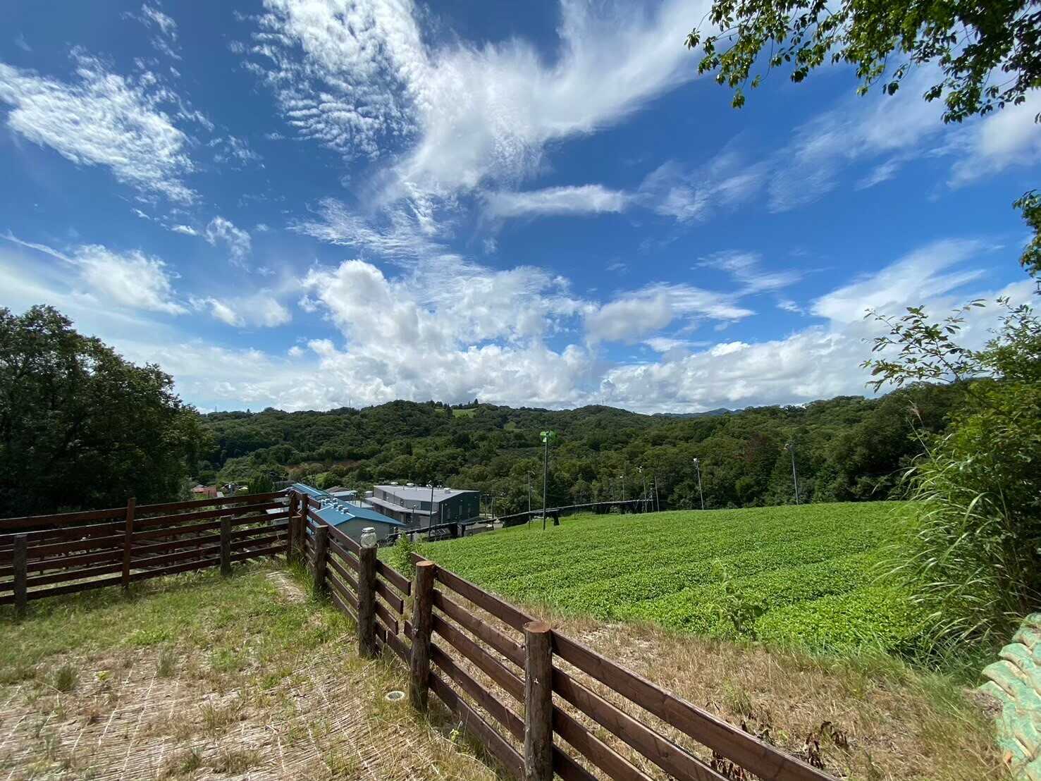 南山城村の隠れ家の写真 5枚目