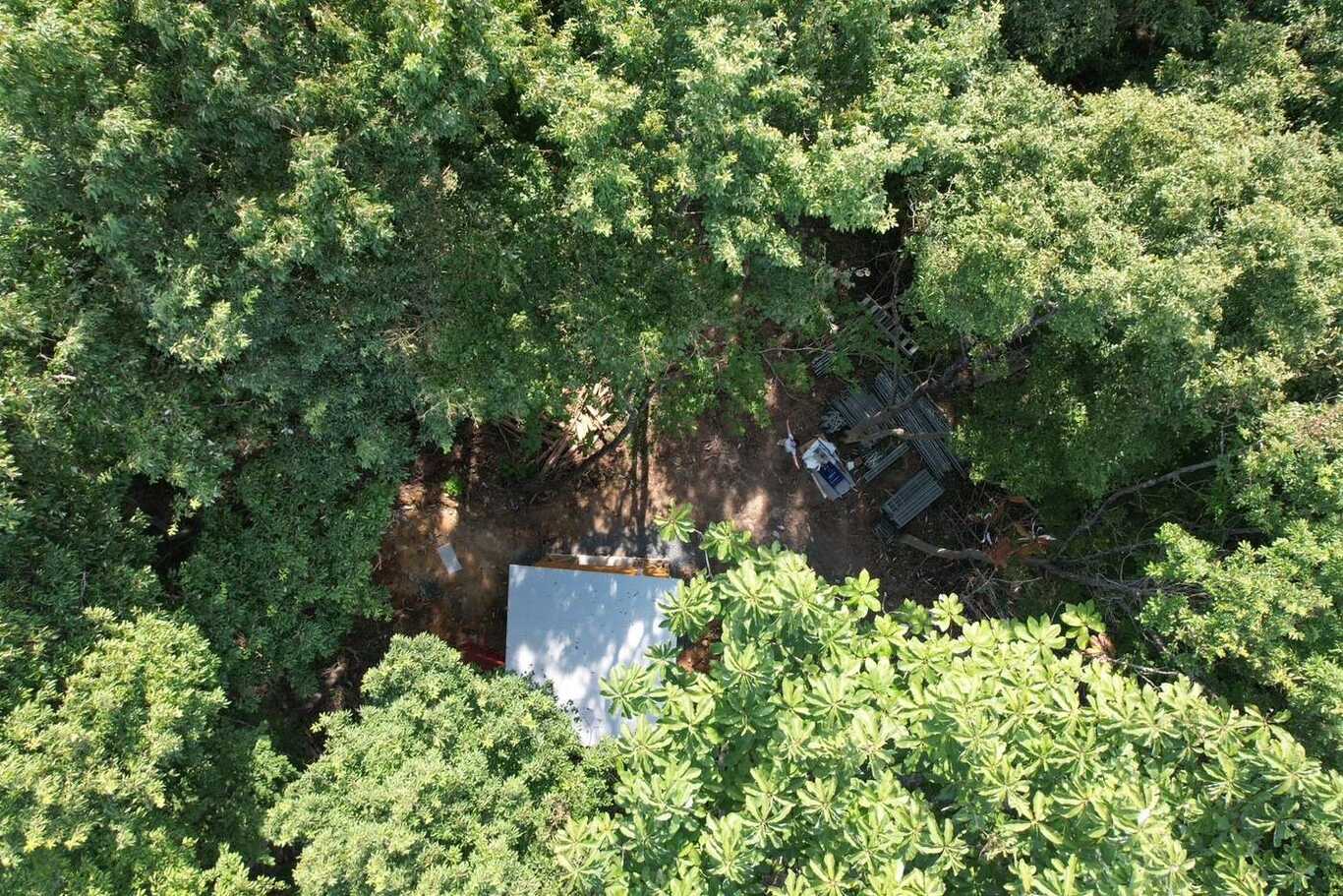 TSUNAGARI NO MORIの公式サイト画像