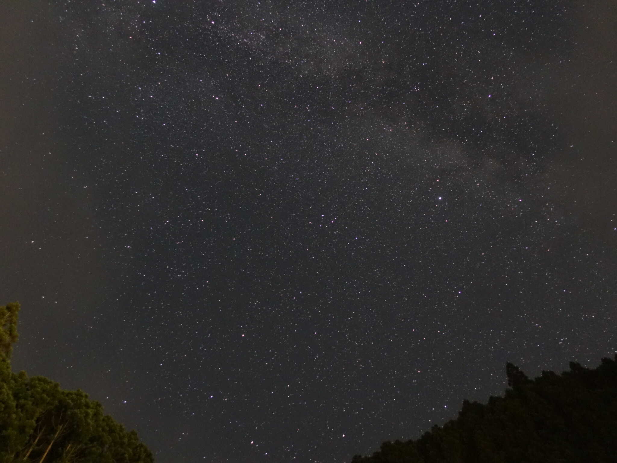 晴れれば空一面の星空が広がる天然のプラネタリウムをお楽しみください✫