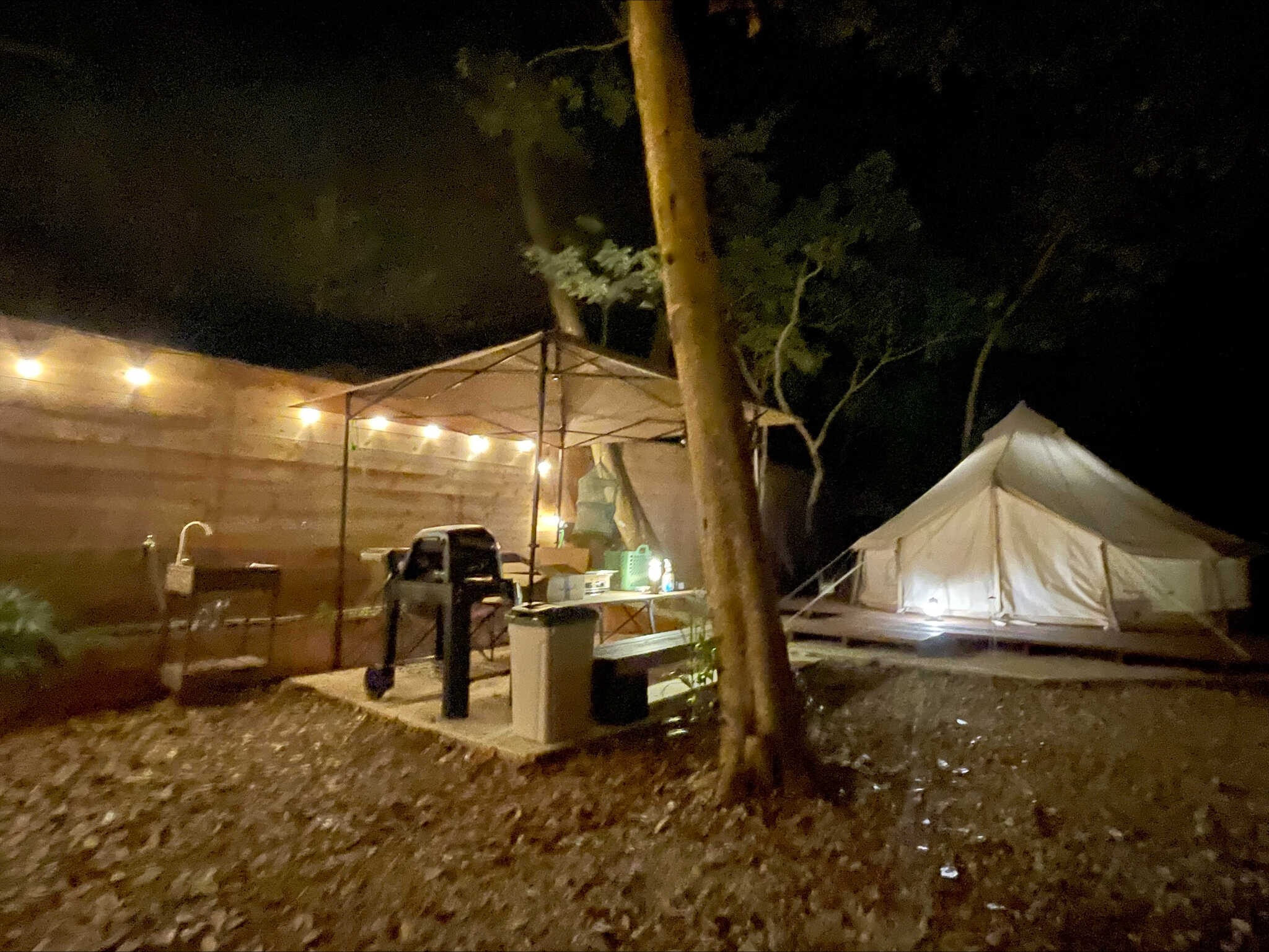 Frog Cafe & Site
