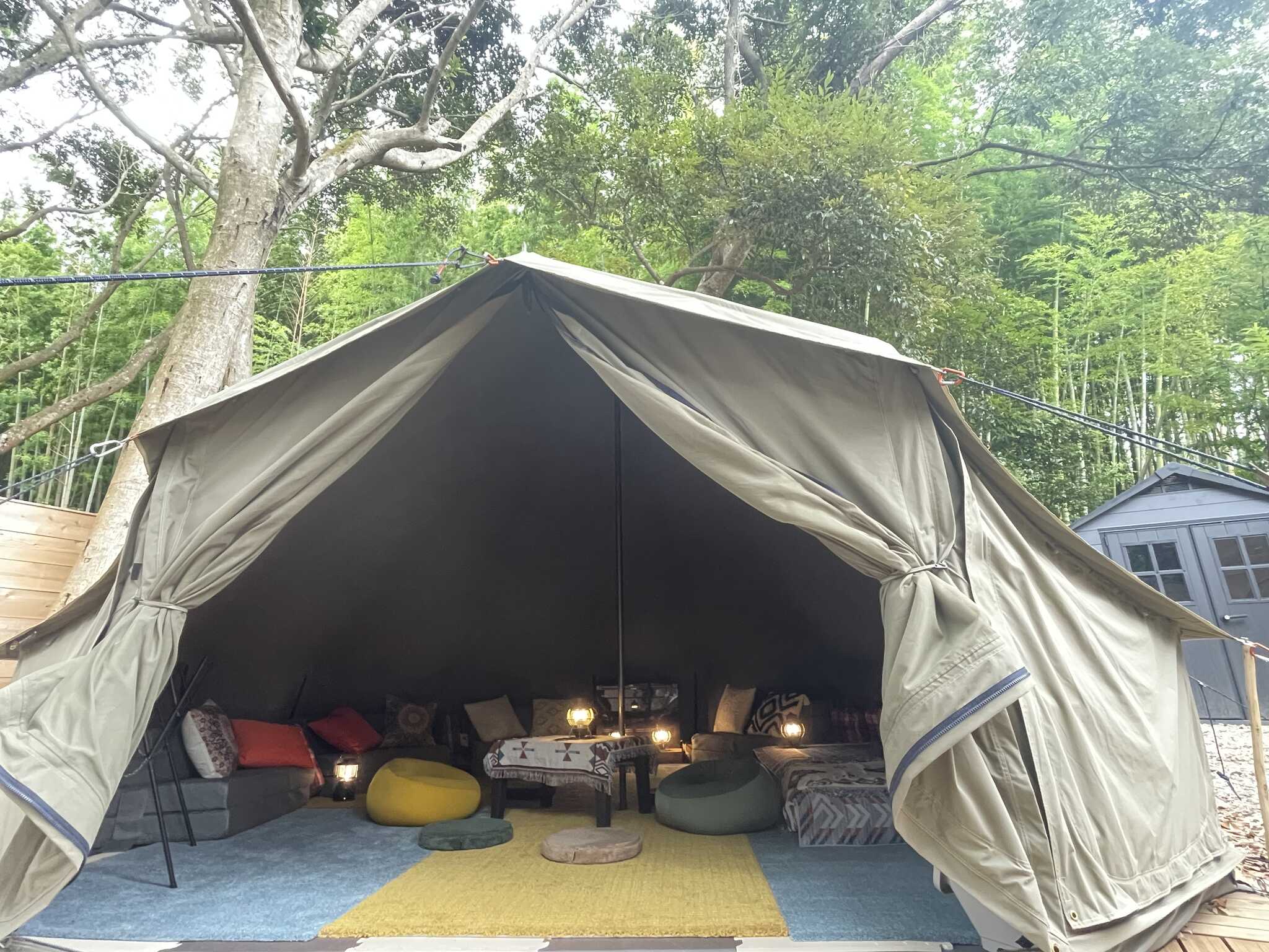 Frog Cafe & Site