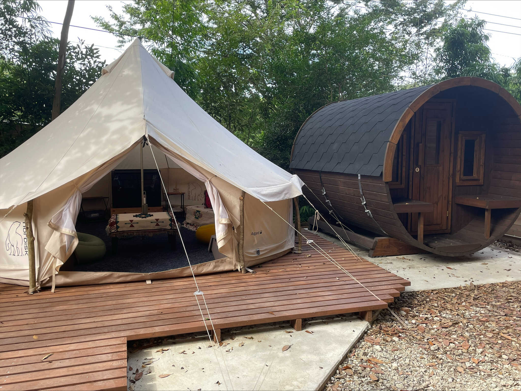 Frog Cafe & Site