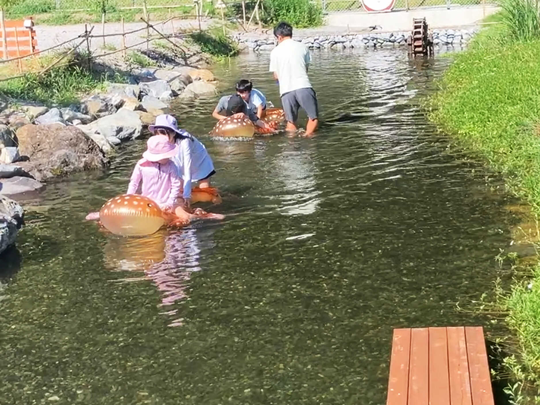 場内には山の水が流れる浅瀬の小川があり、安全に遊べます!