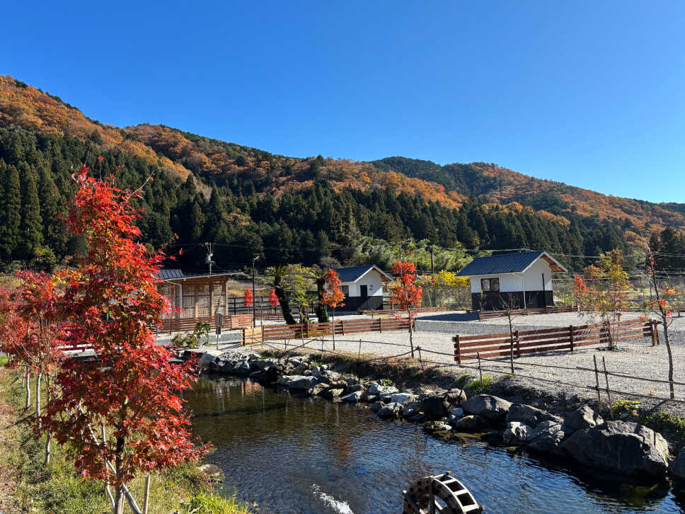 秋には場内の紅葉と山々の紅葉が里山を彩ります。