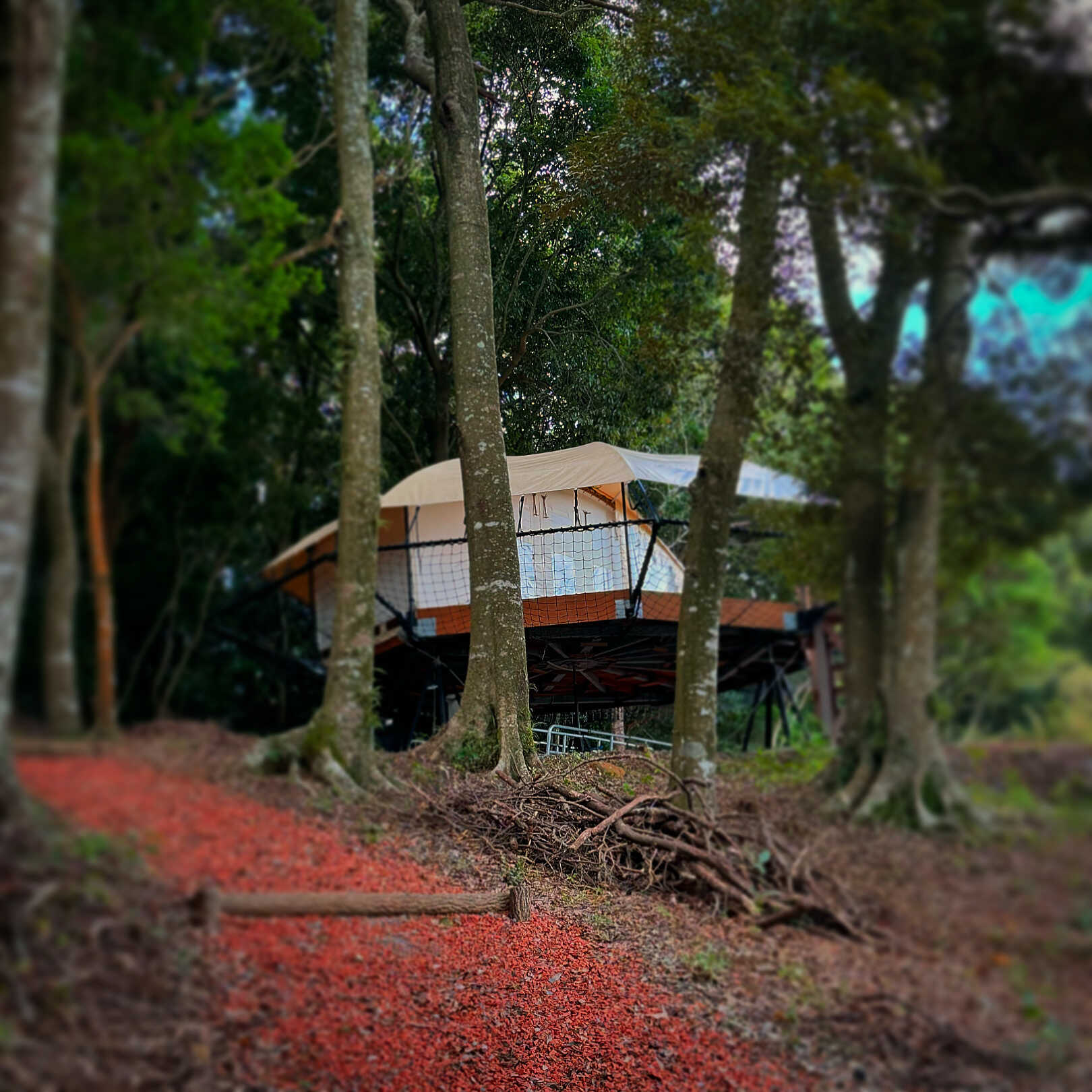 CAMPING FOREST HASAMI