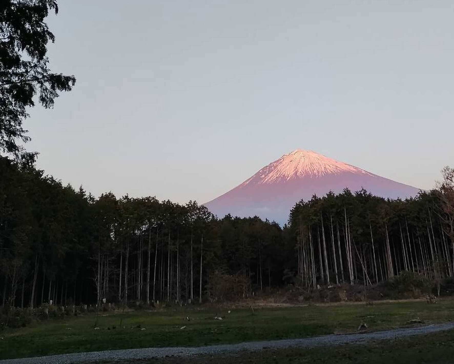 富士山あんもの森 Camp Fieldの写真 5枚目