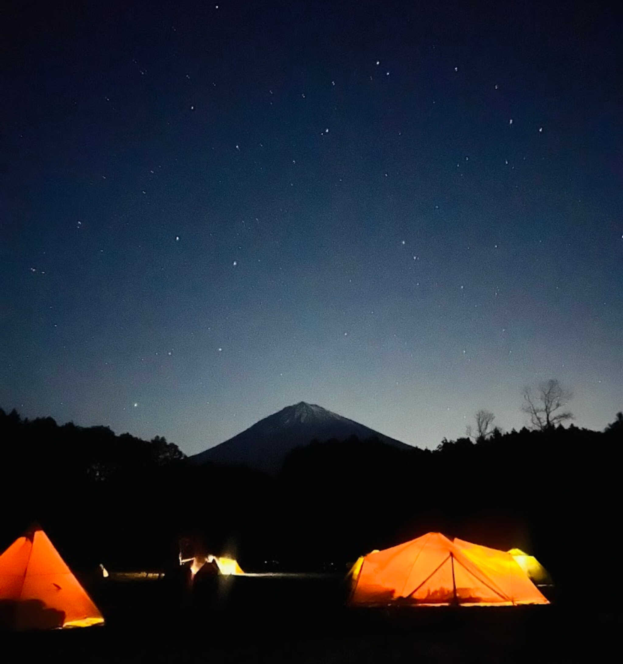 夜空に広がる満天の星。キャンプ場周辺に街灯や民家が無く空気が澄んでいるので、星がとてもキレイに見えます。
