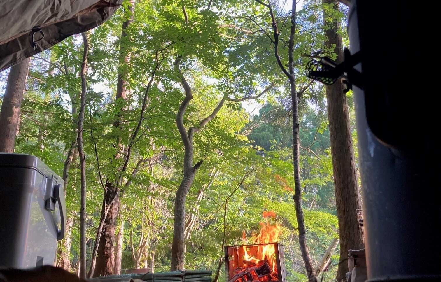 Wolves Forest Outdoorの写真 3枚目