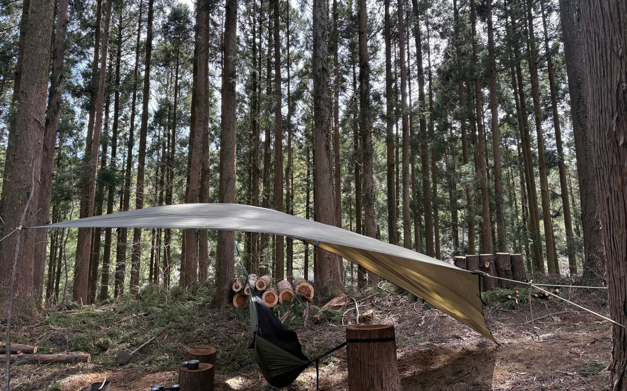 Wolves Forest Outdoorの写真 4枚目