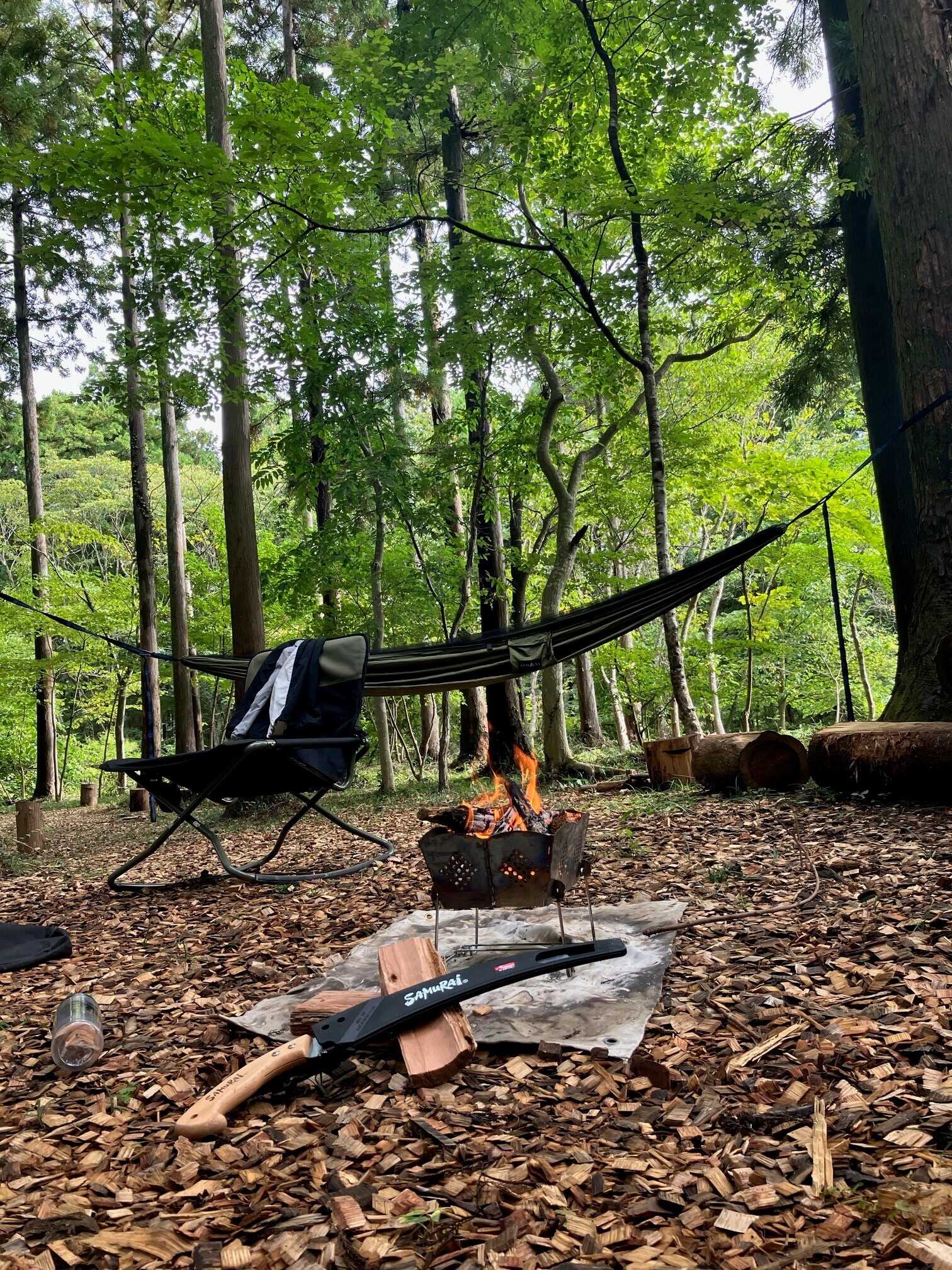 Wolves Forest Outdoorの写真 5枚目