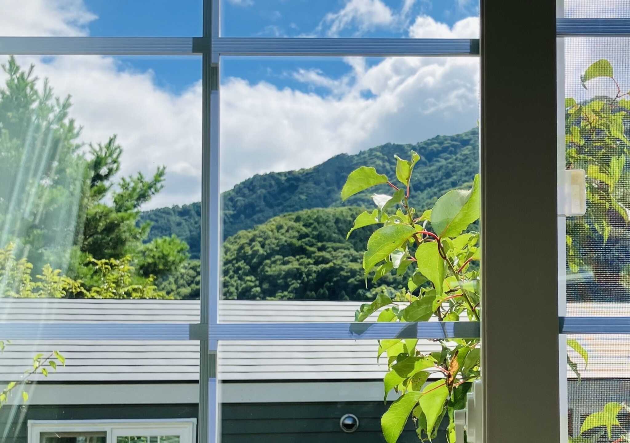大きな窓の外は豊かな緑が広がっています。自然光がたっぷり差し込む明るいお部屋です。