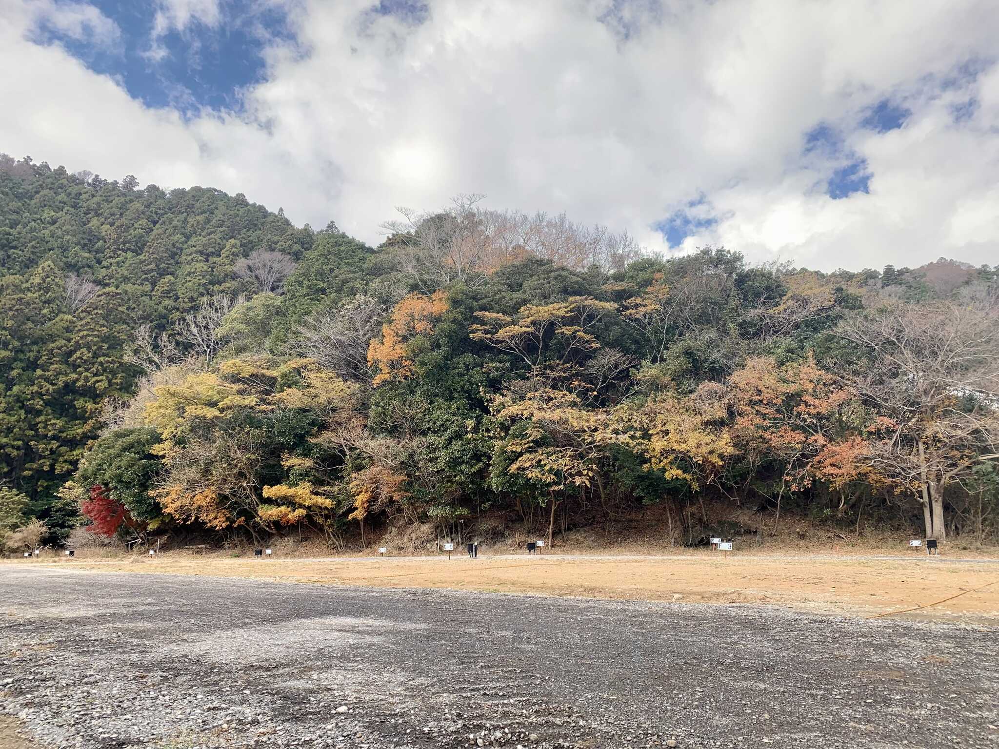 HANABUSACAMP