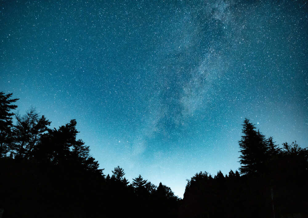 スターランドさかだに満点星空オートキャンプ場の写真 2枚目