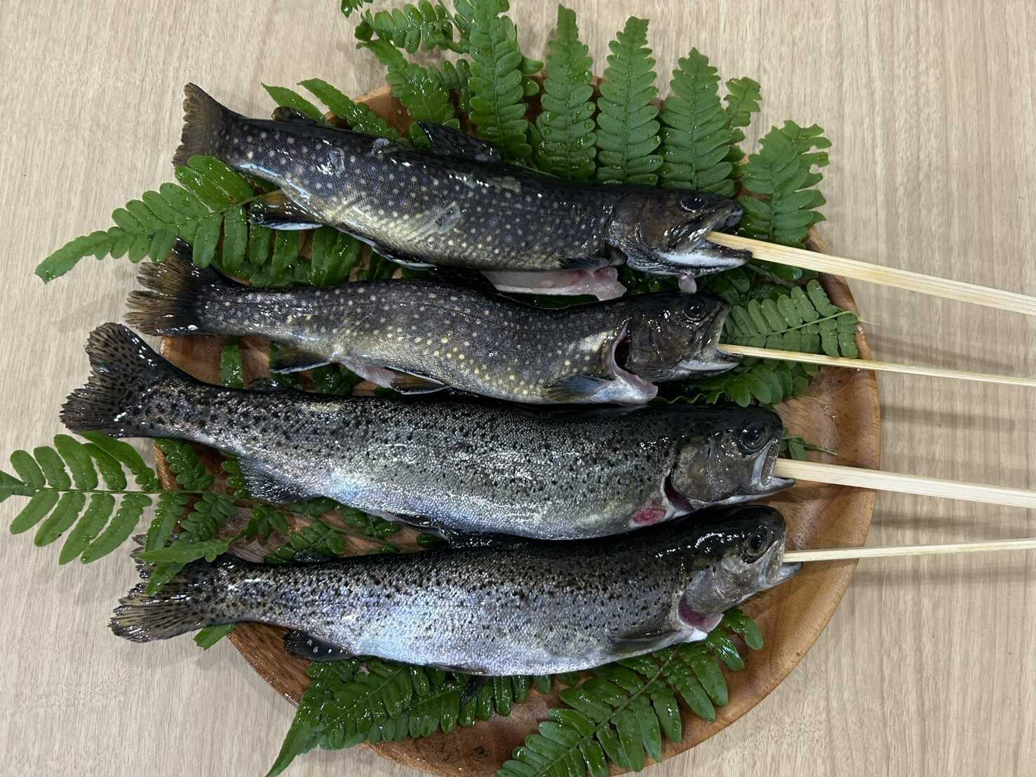 Mt.Kentoku Fish&Lodge(マウント ケントク フィッシュ&ロッジ)