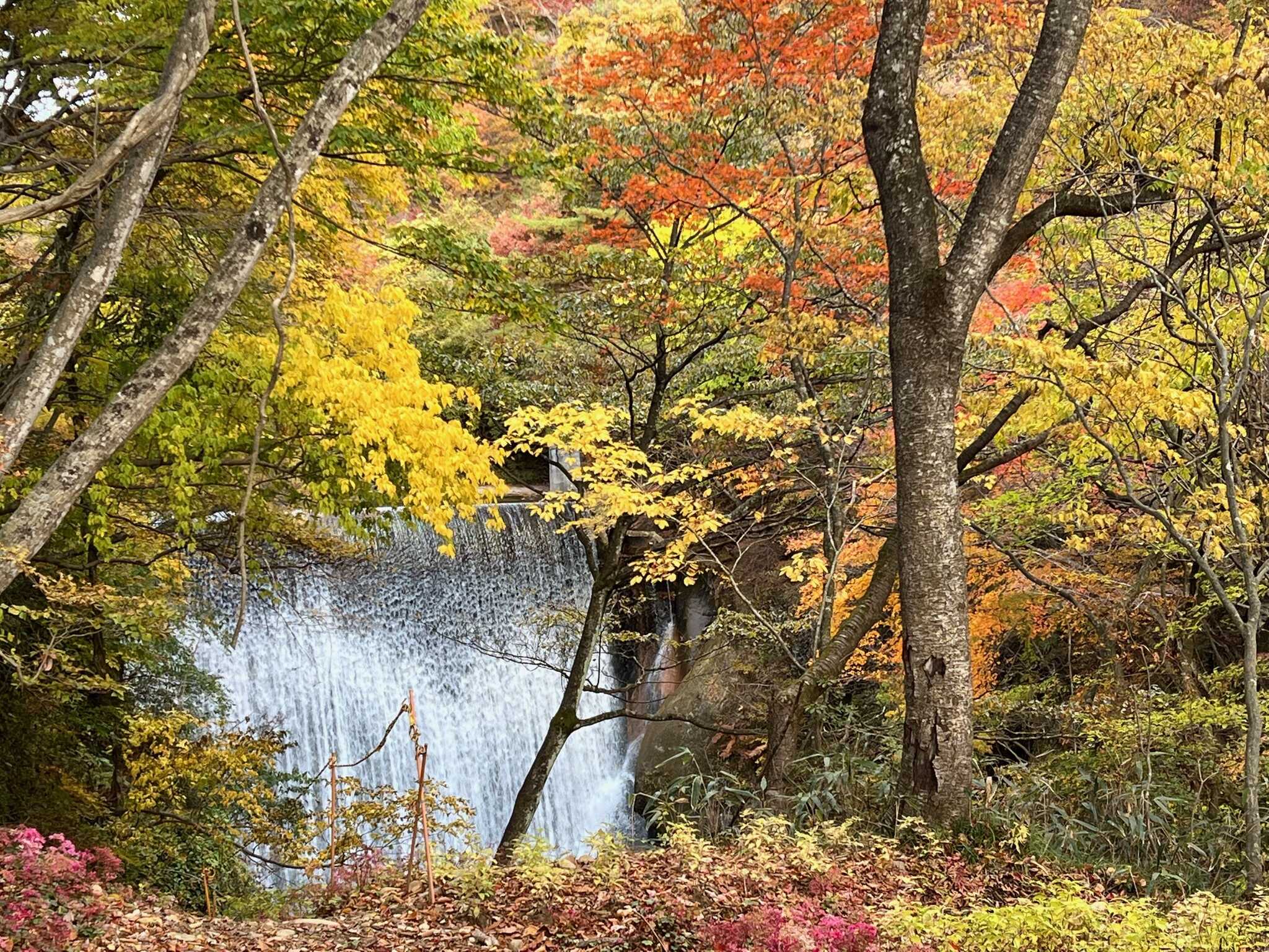 245瀞 West Country Baseの写真 3枚目