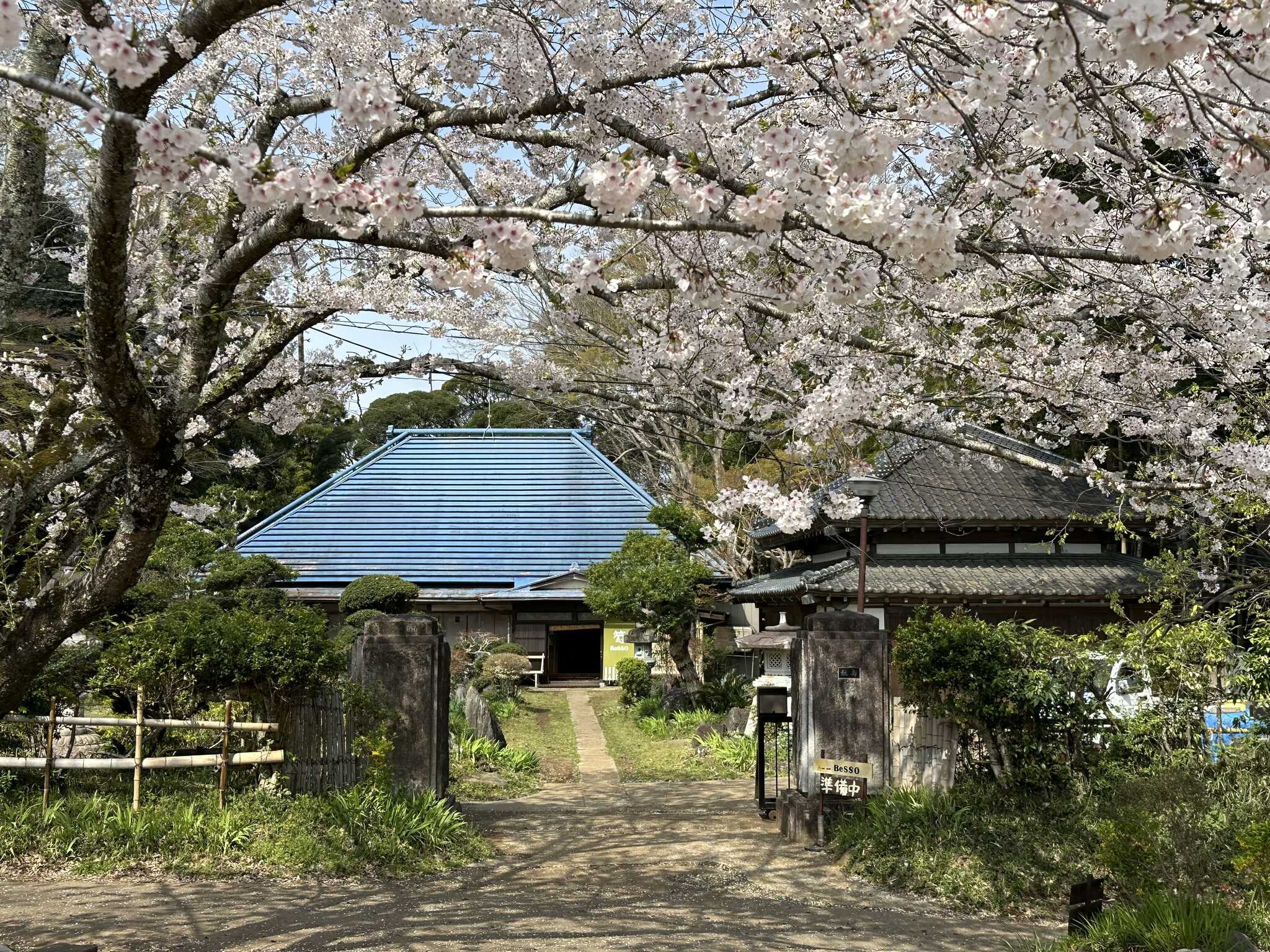 キャンプ場入り口には大きな桜があり、お花見も楽しめます(^^)