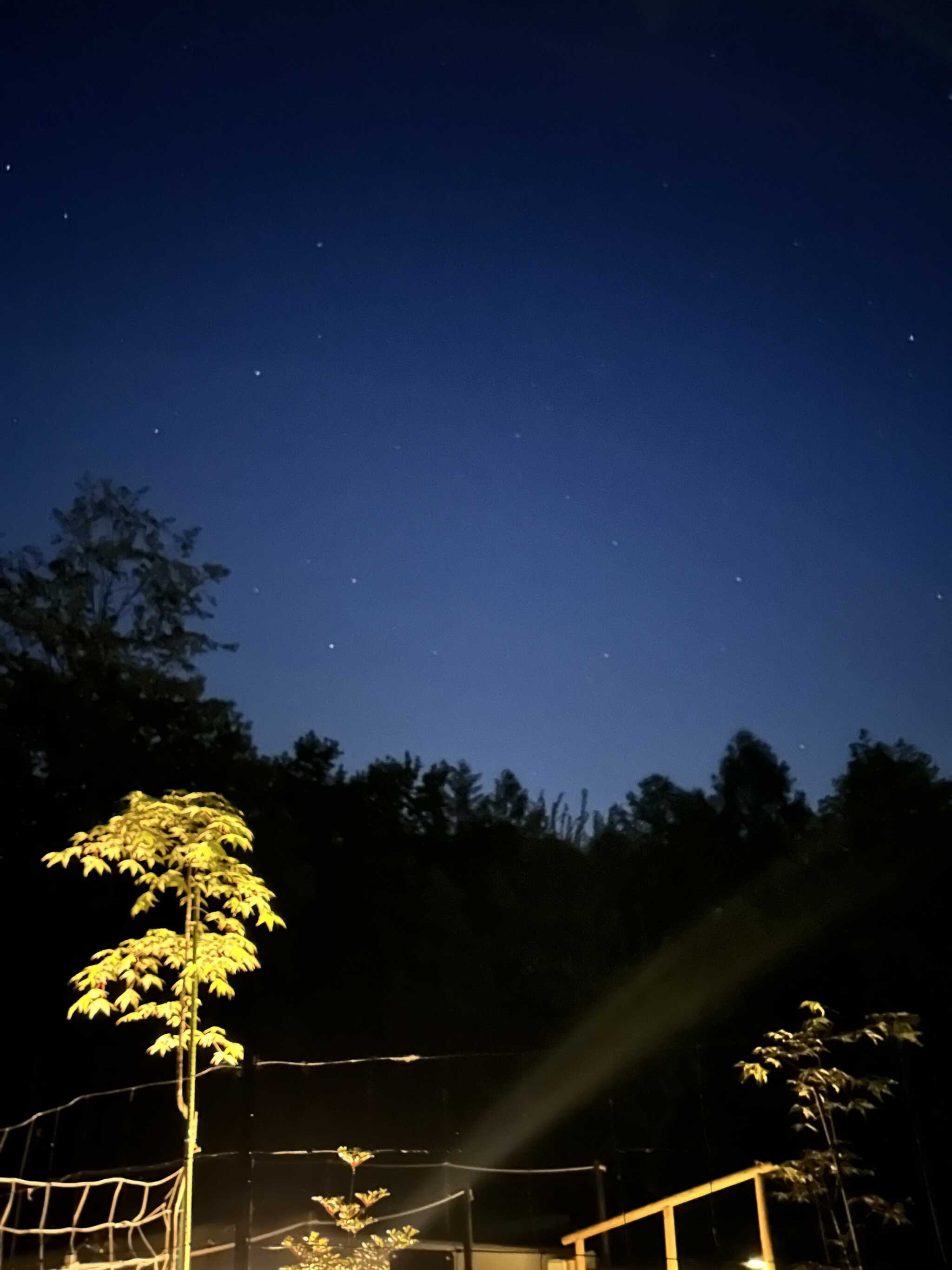 Forest Garage Campの写真 2枚目