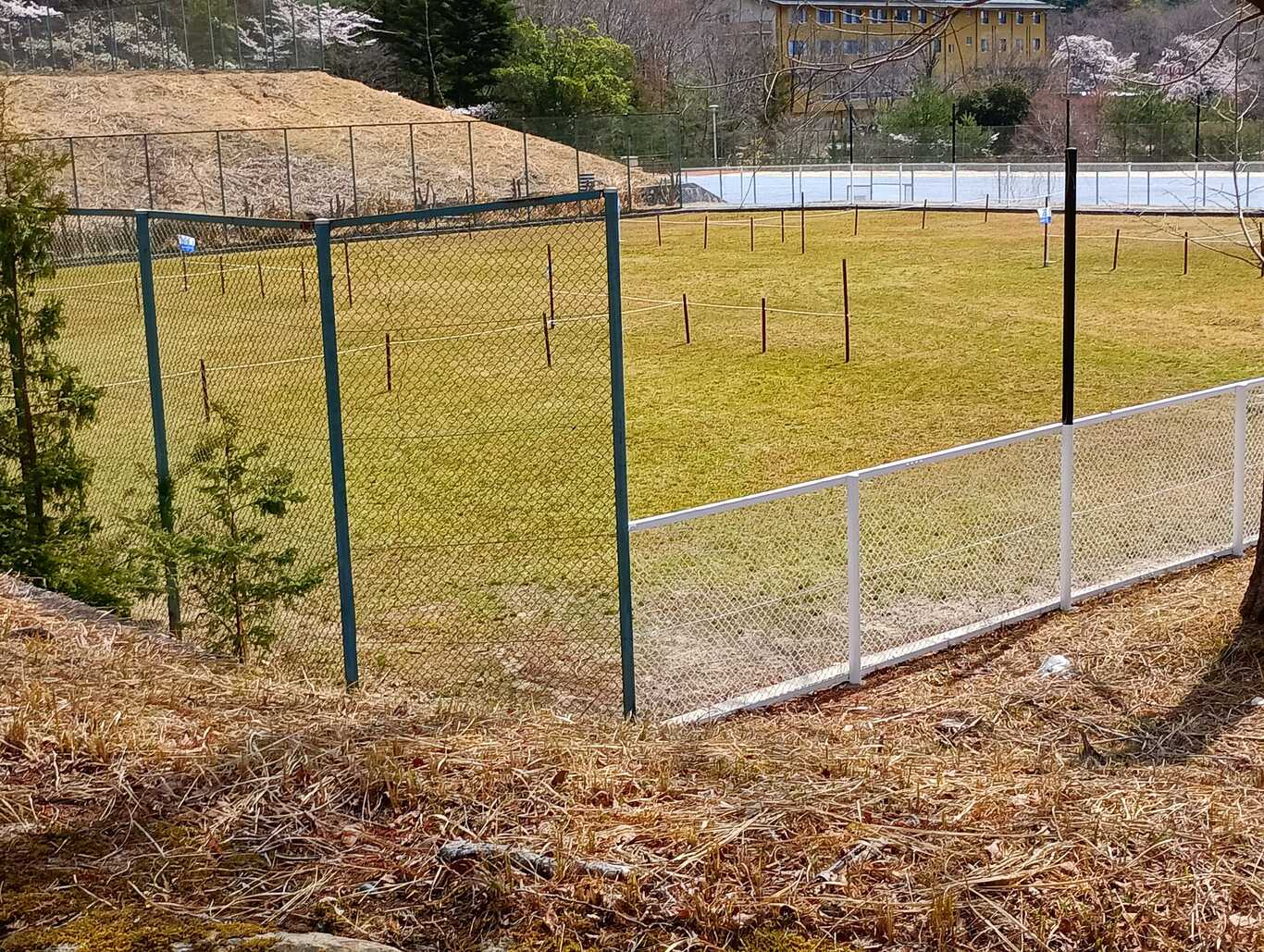 新能勢の郷公園キャンプ場 photo 2