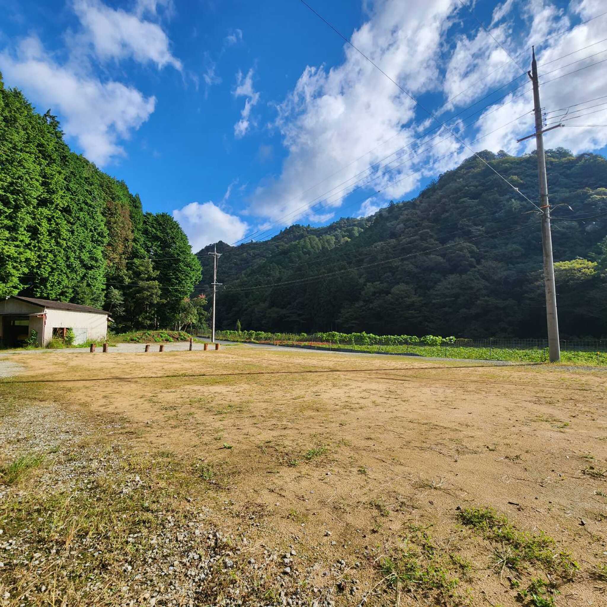 市川ハウスの写真 2枚目