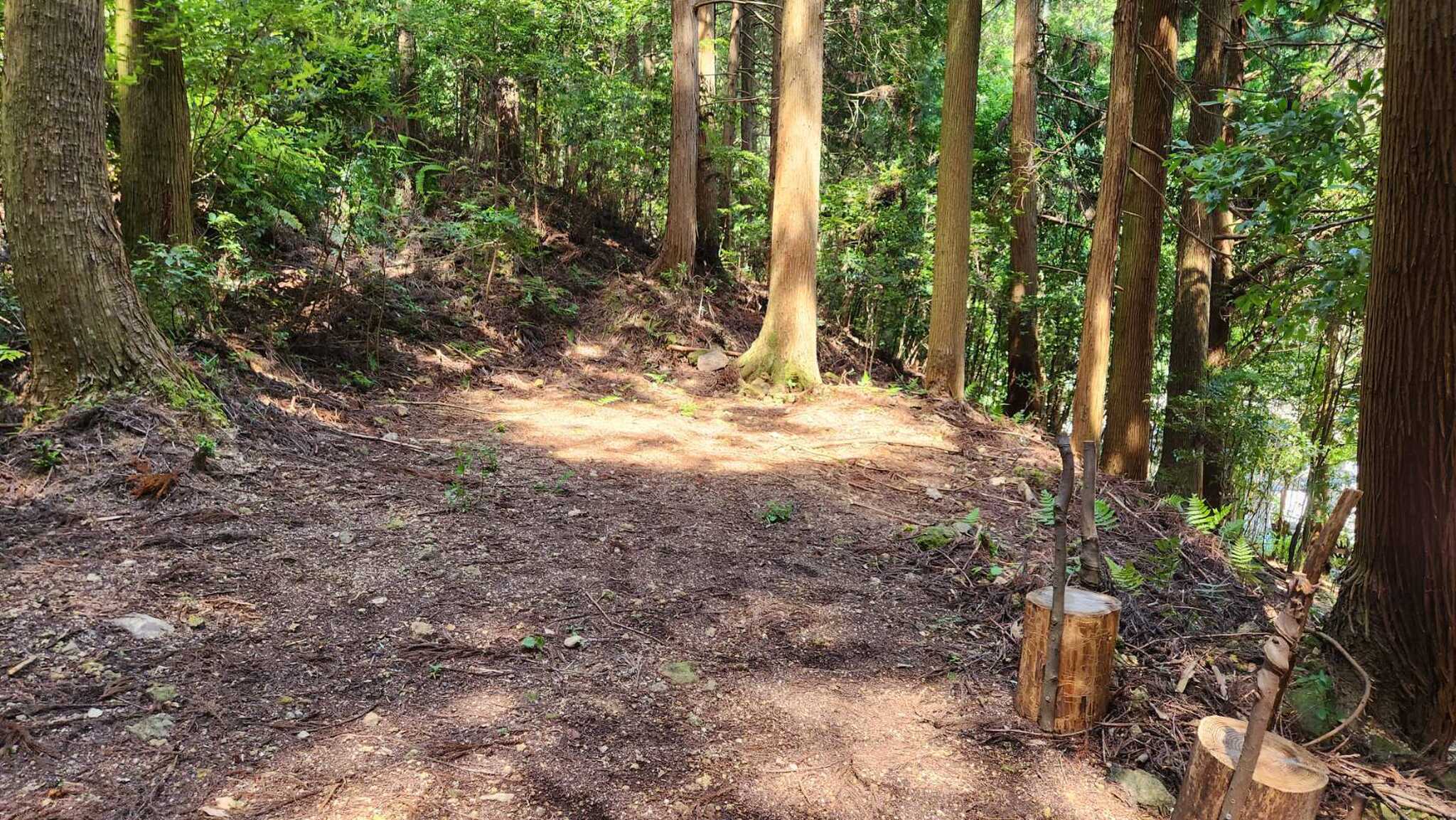 市川ハウスの写真 3枚目