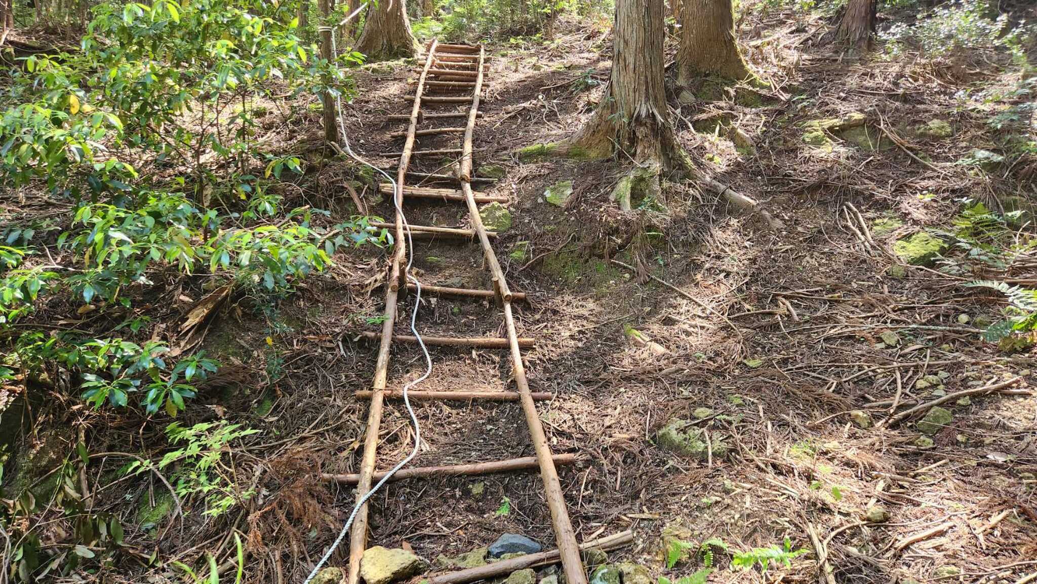 市川ハウスの写真 5枚目