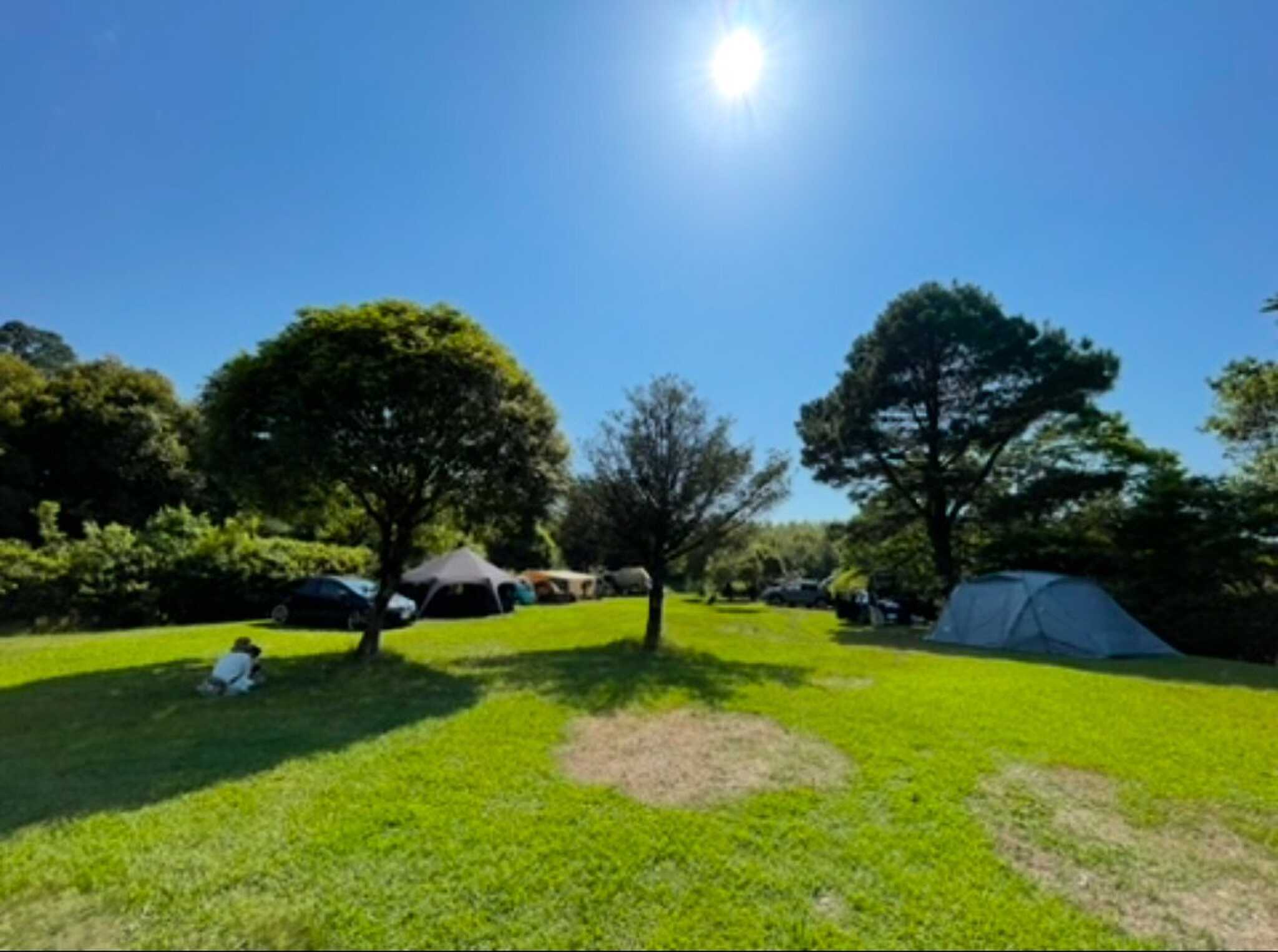 城南天然温泉かたるの森キャンプ場の写真 2枚目