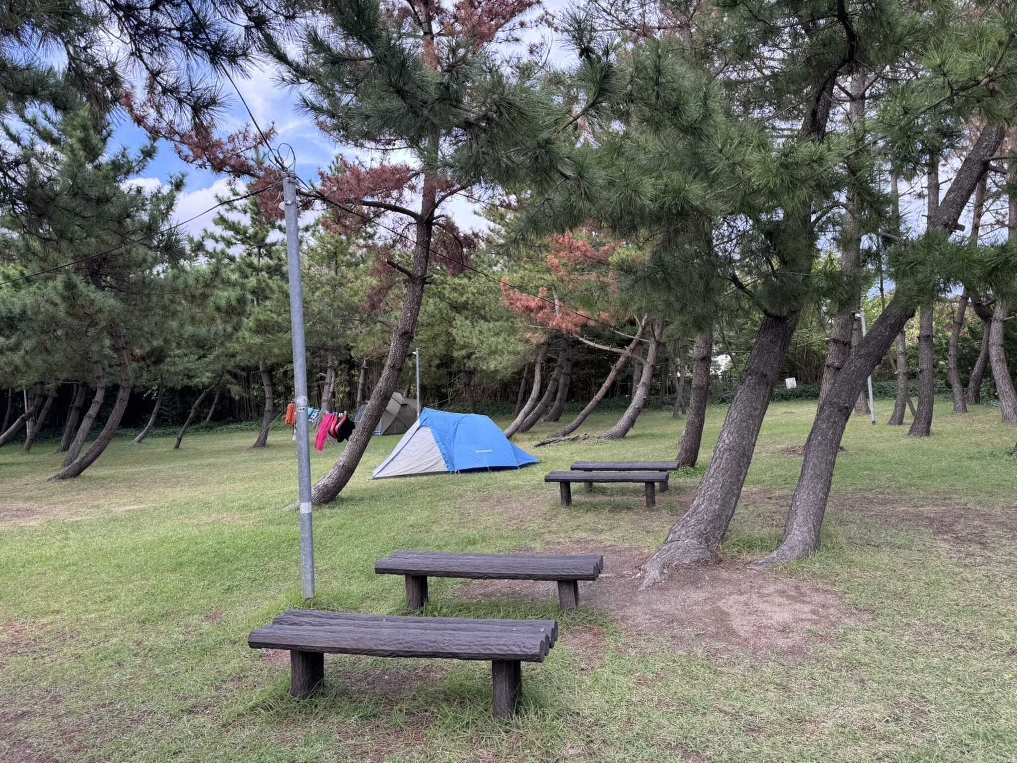 窪田キャンプ場